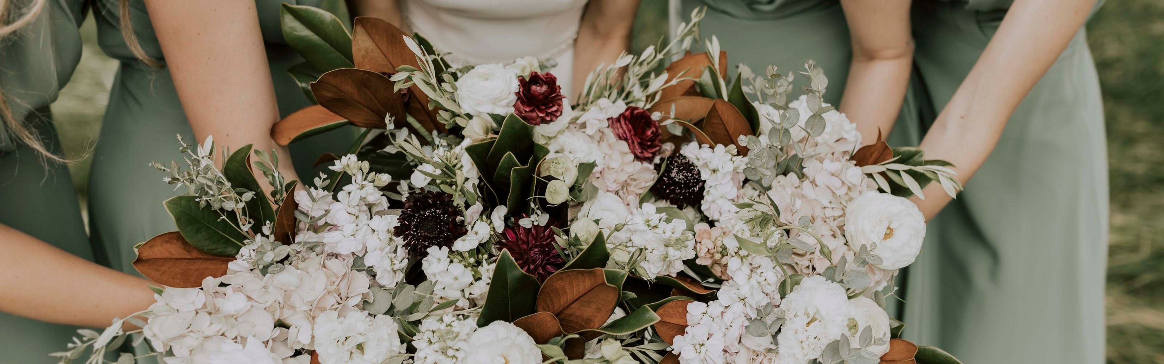 Cover photo of Effortless Sentiments