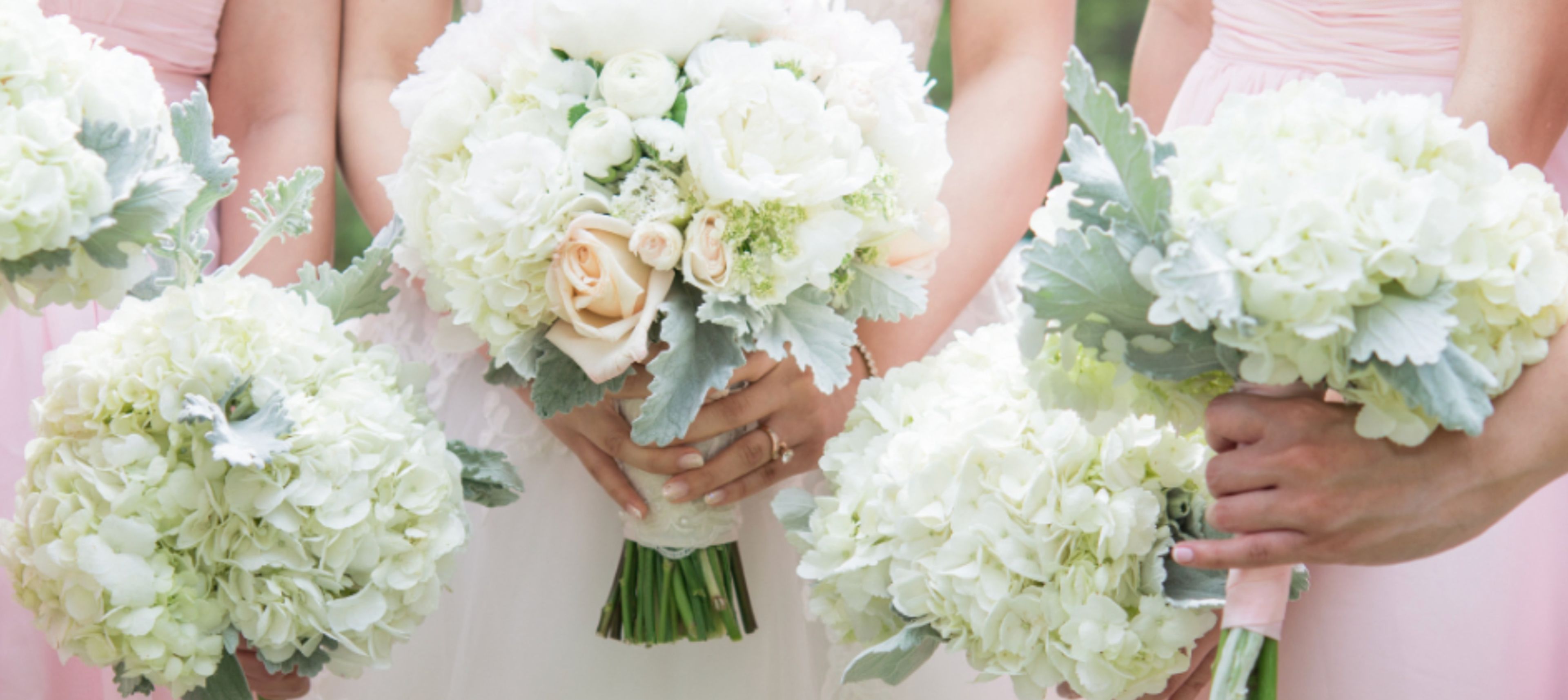 Cover photo of NoLo Weddings & Events