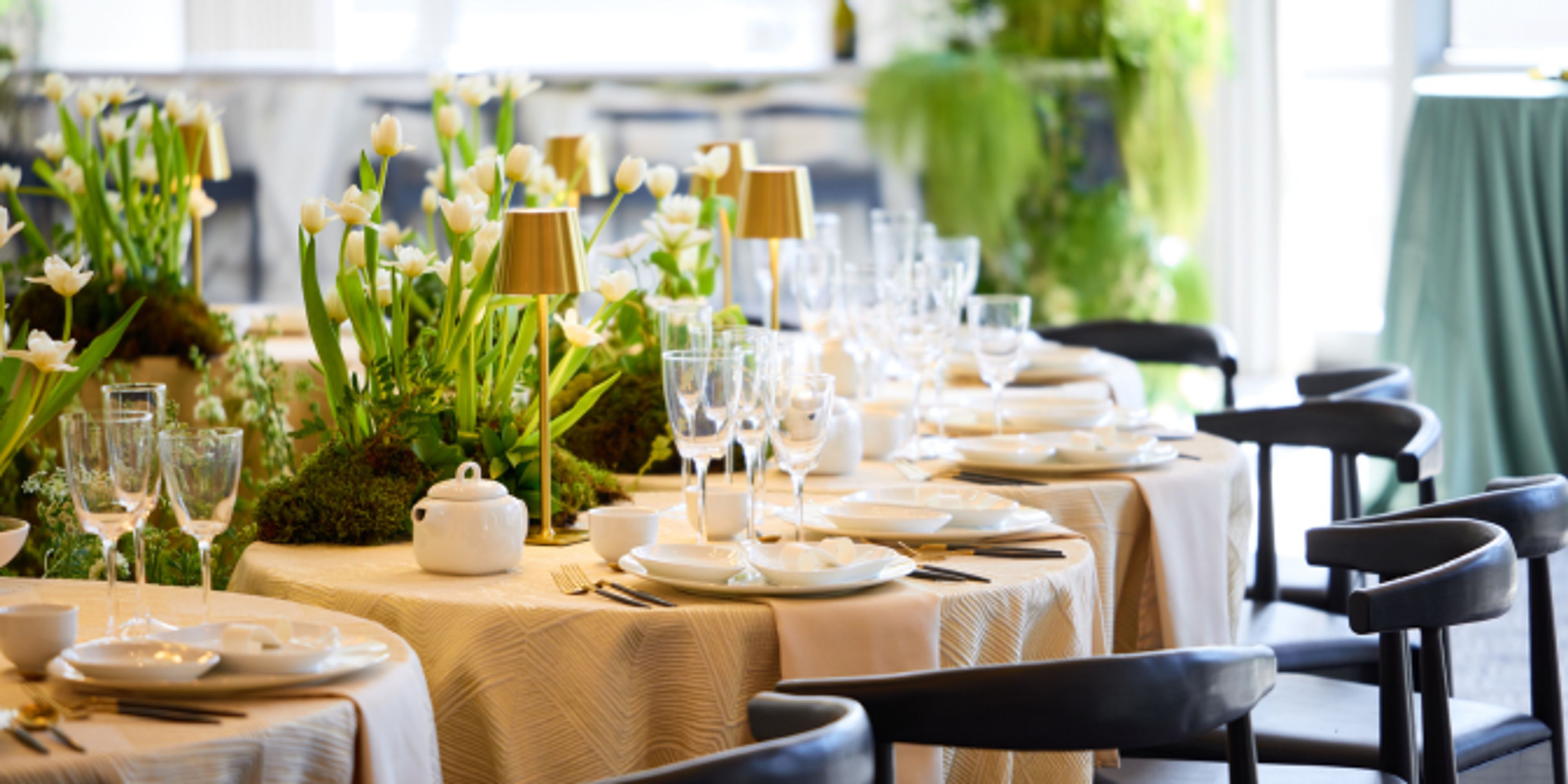 Cover photo of Party Rental Ltd.