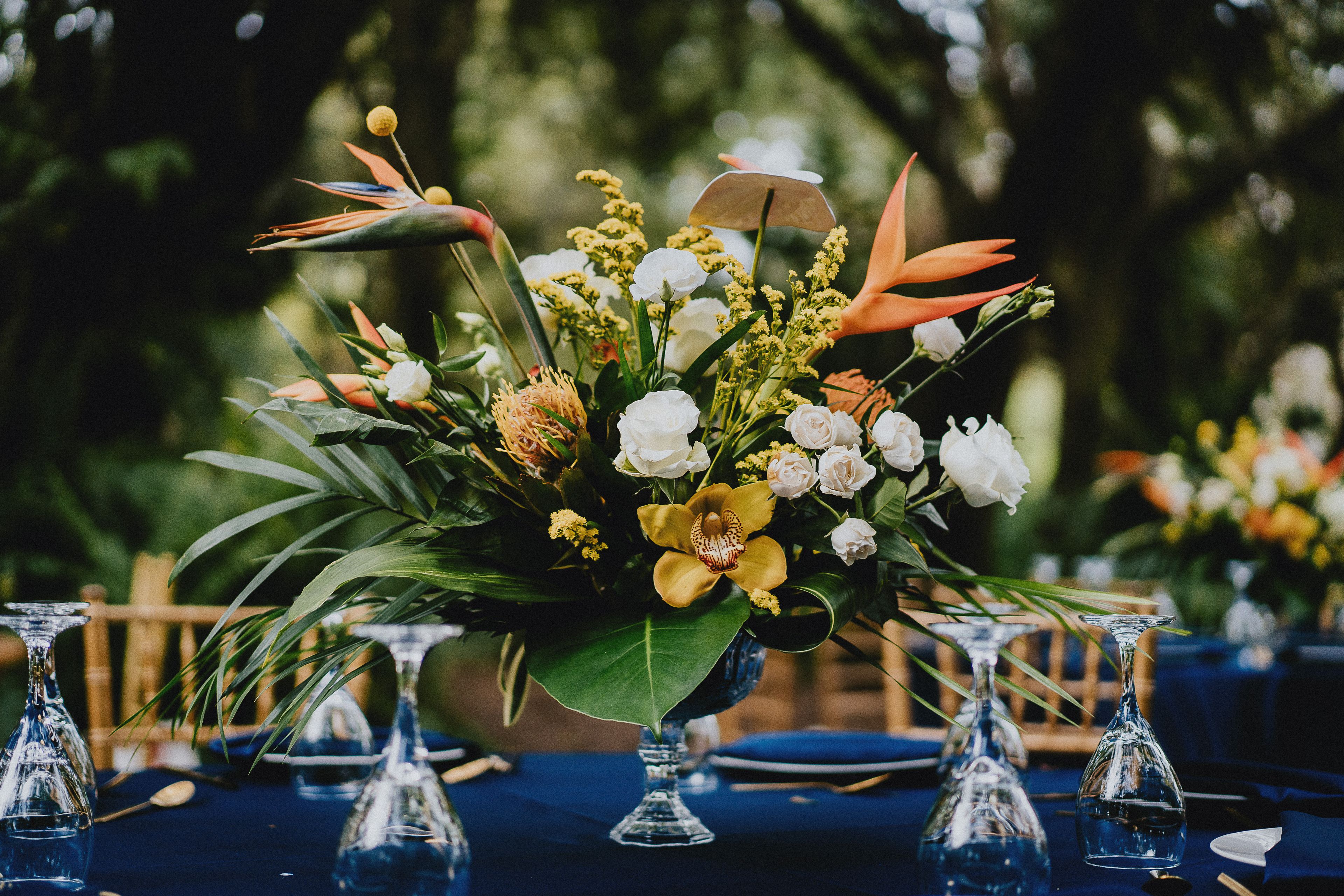 Cover photo of Gigi and Millie LLC