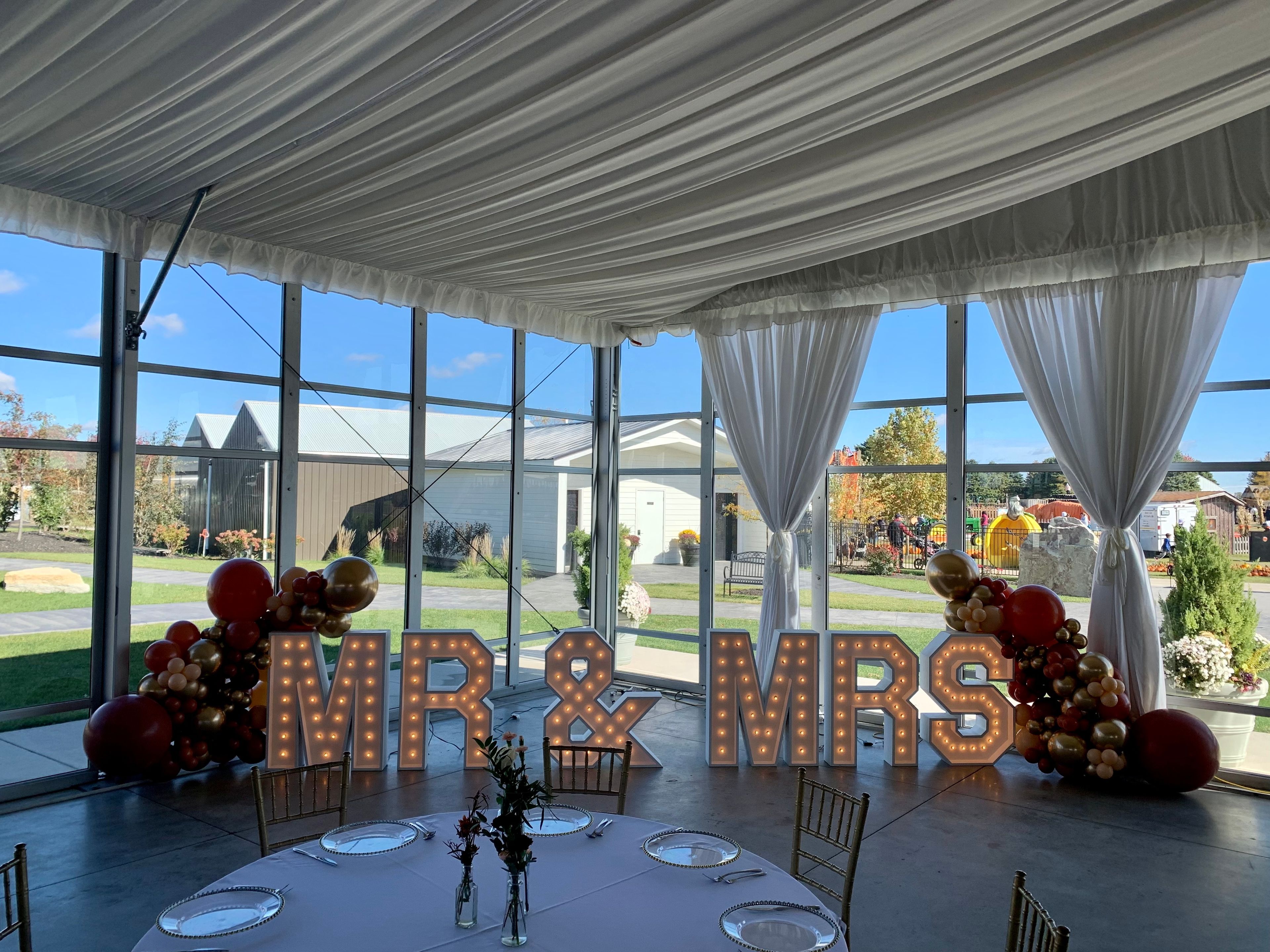 Cover photo of FoxValley Balloons & Rentals