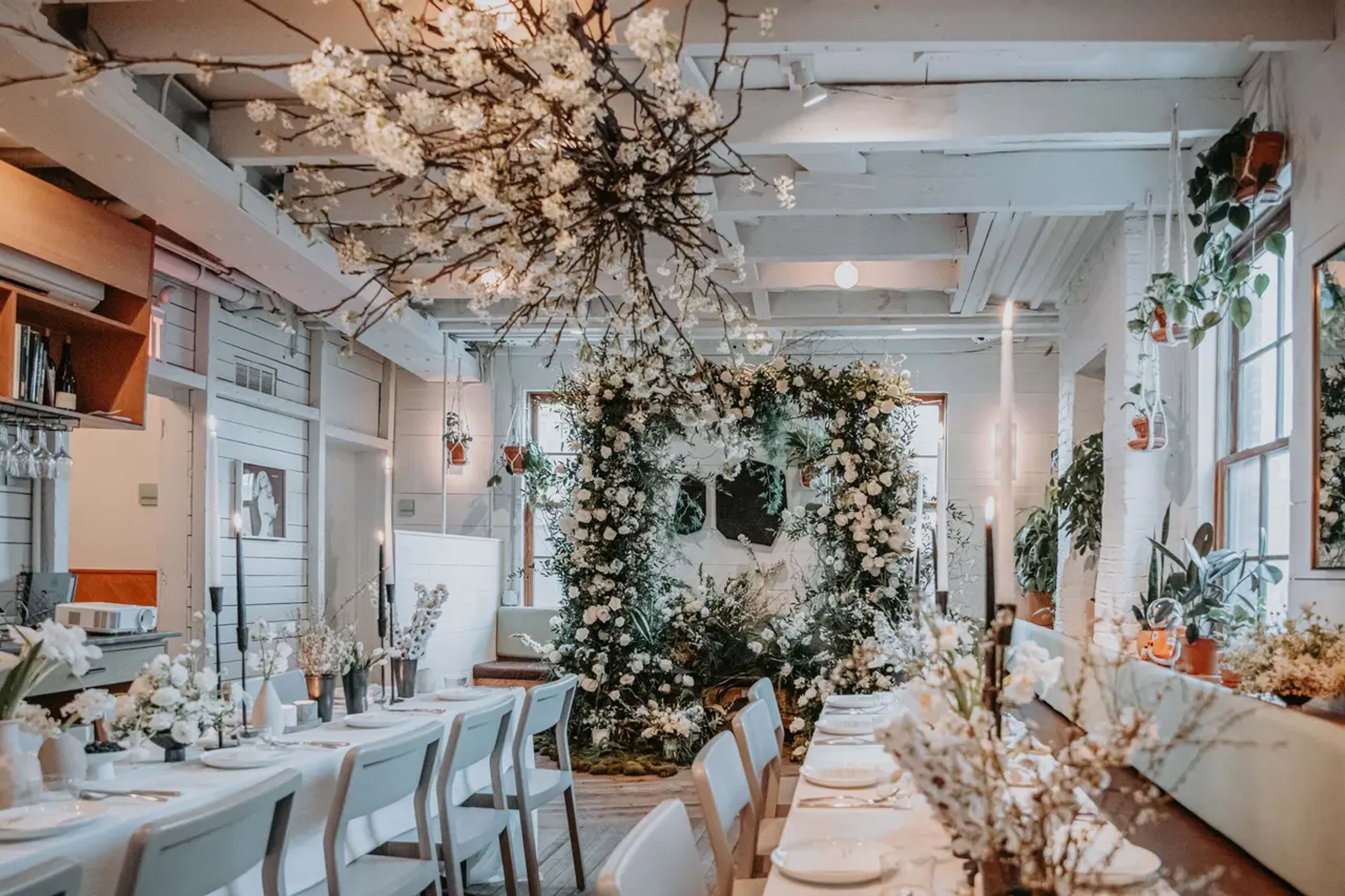 Cover photo of Sunday in Brooklyn