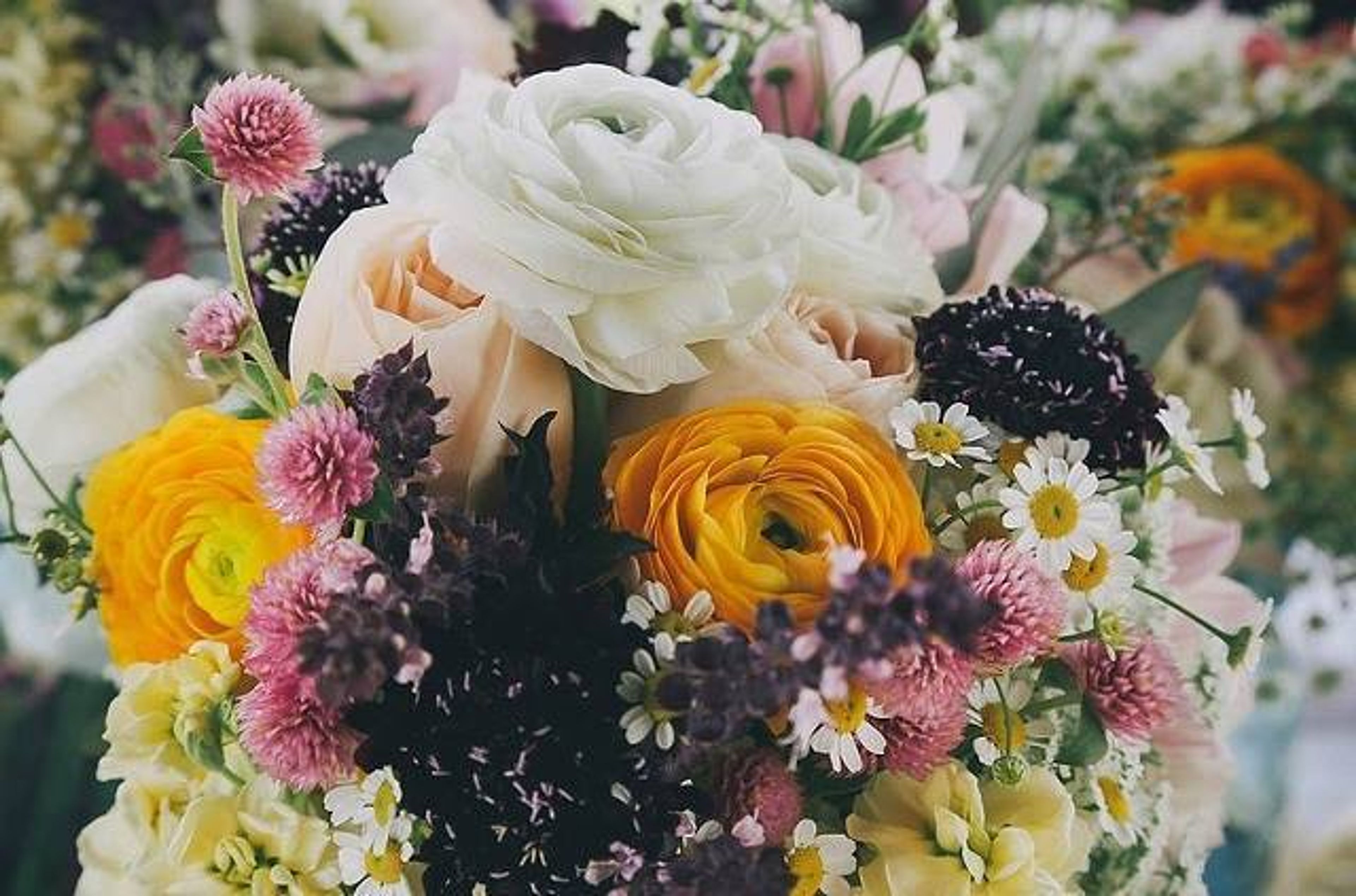 Cover photo of Foxglove Studio