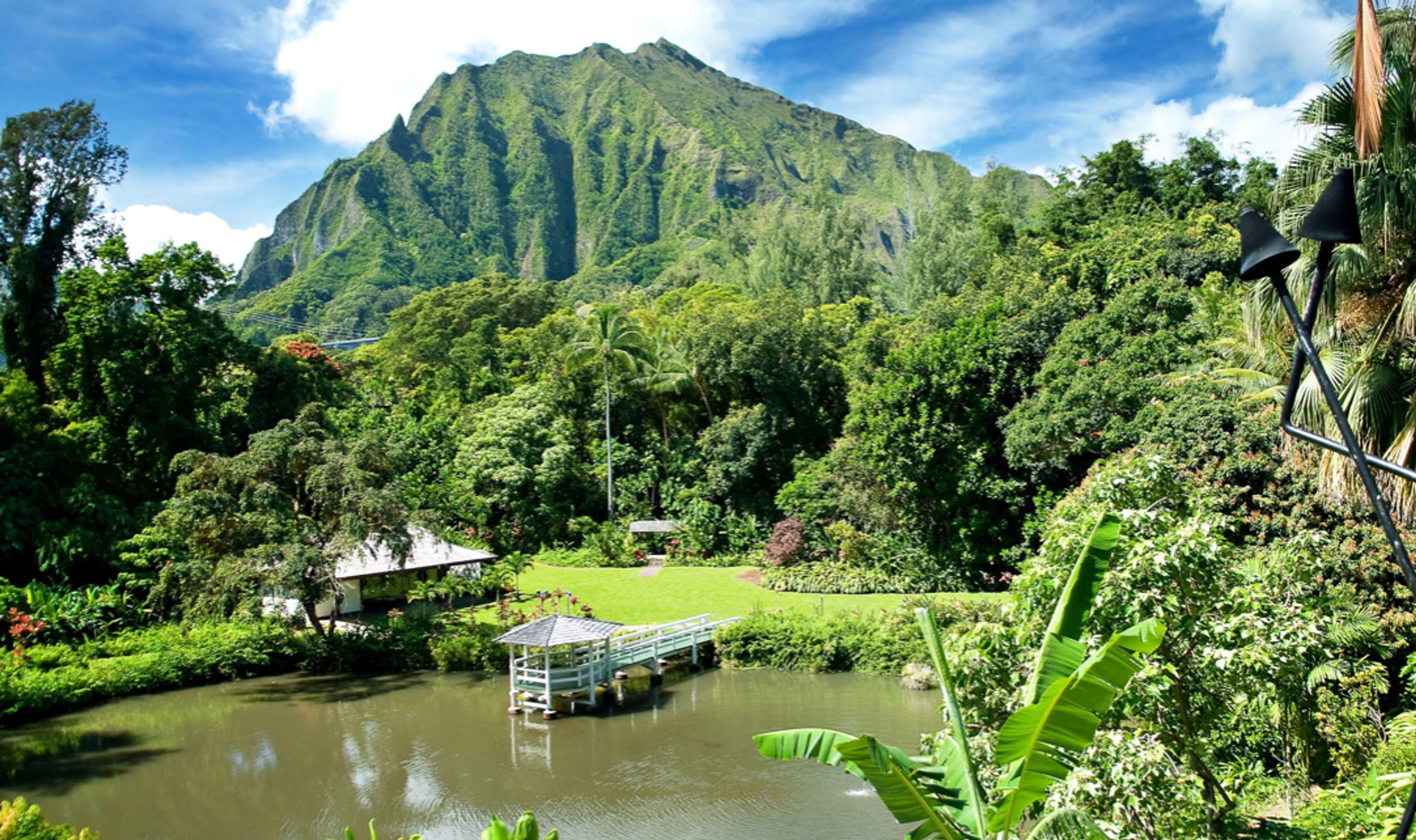 Cover photo of Haiku Gardens