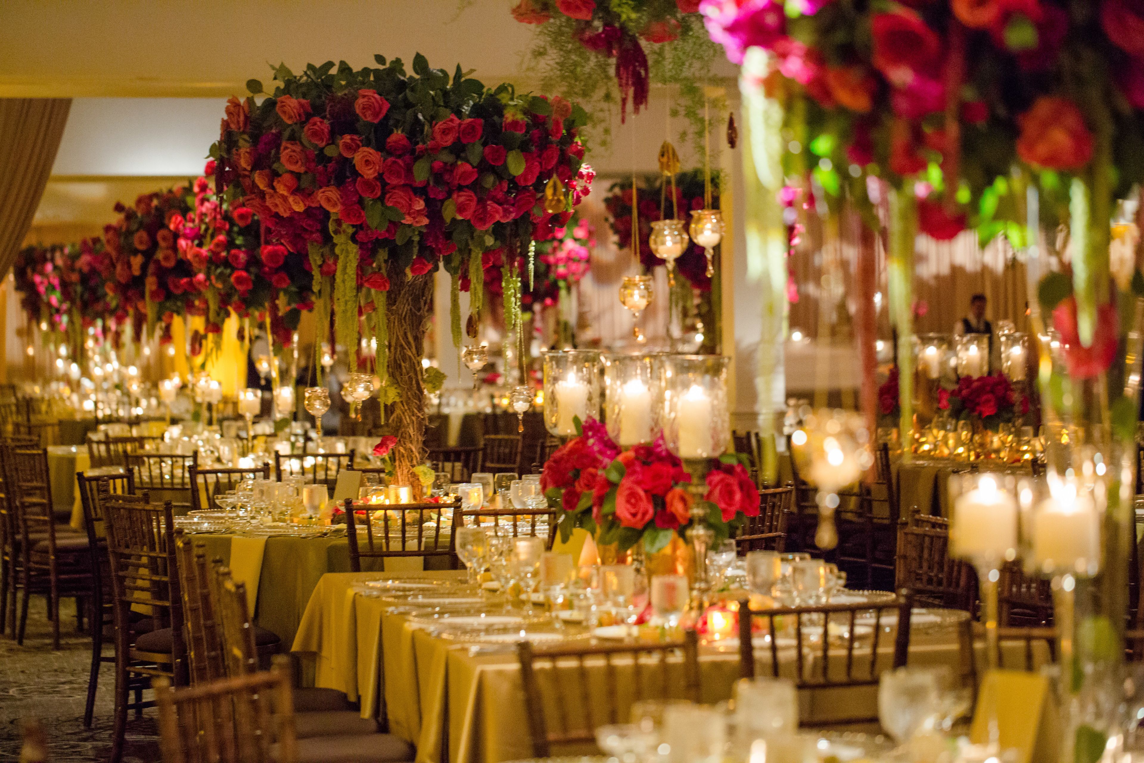 Cover photo of Northern Greenhouses