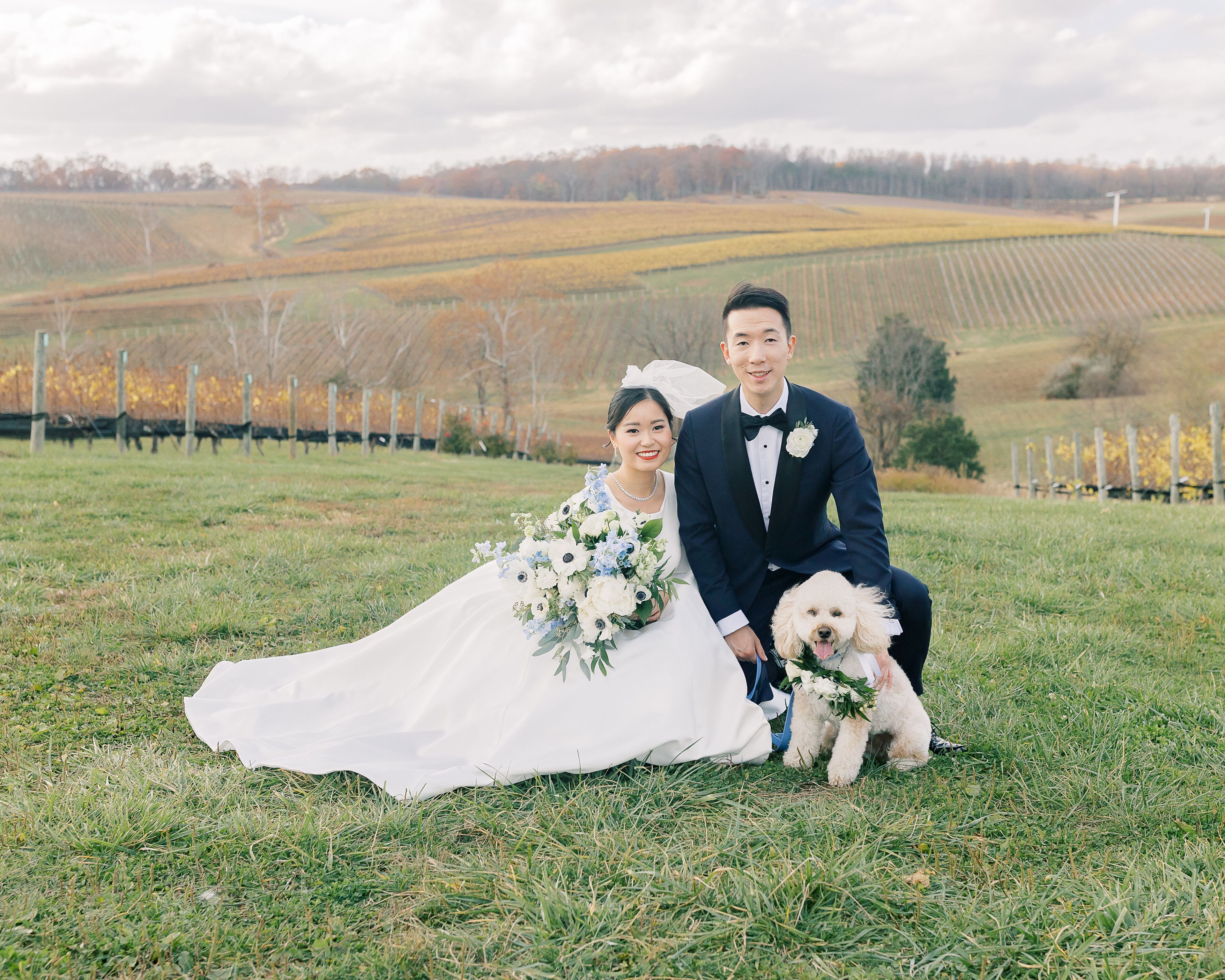 Cover photo of Bright Occasions