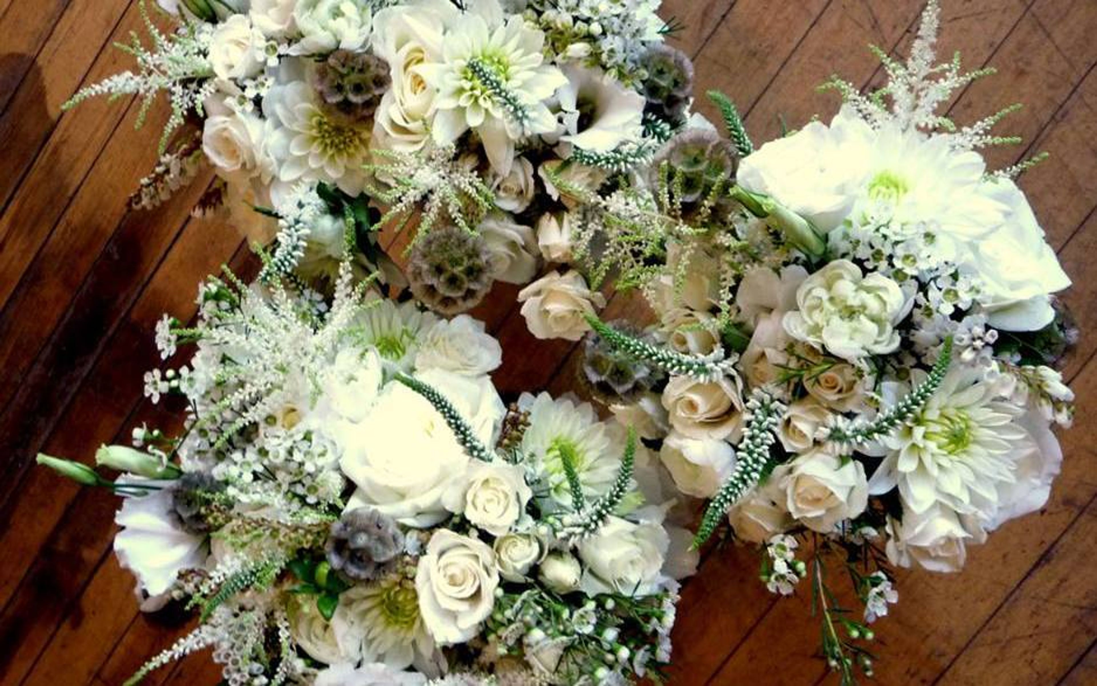 Cover photo of Larkspur