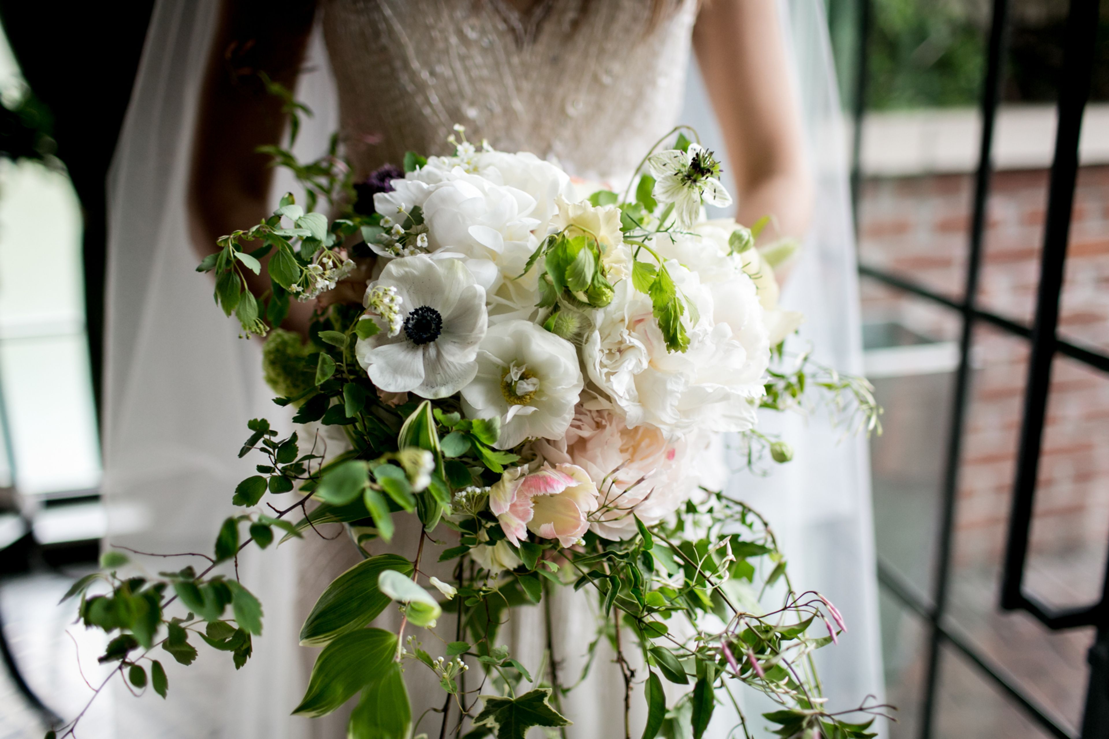 Cover photo of Sprout Home