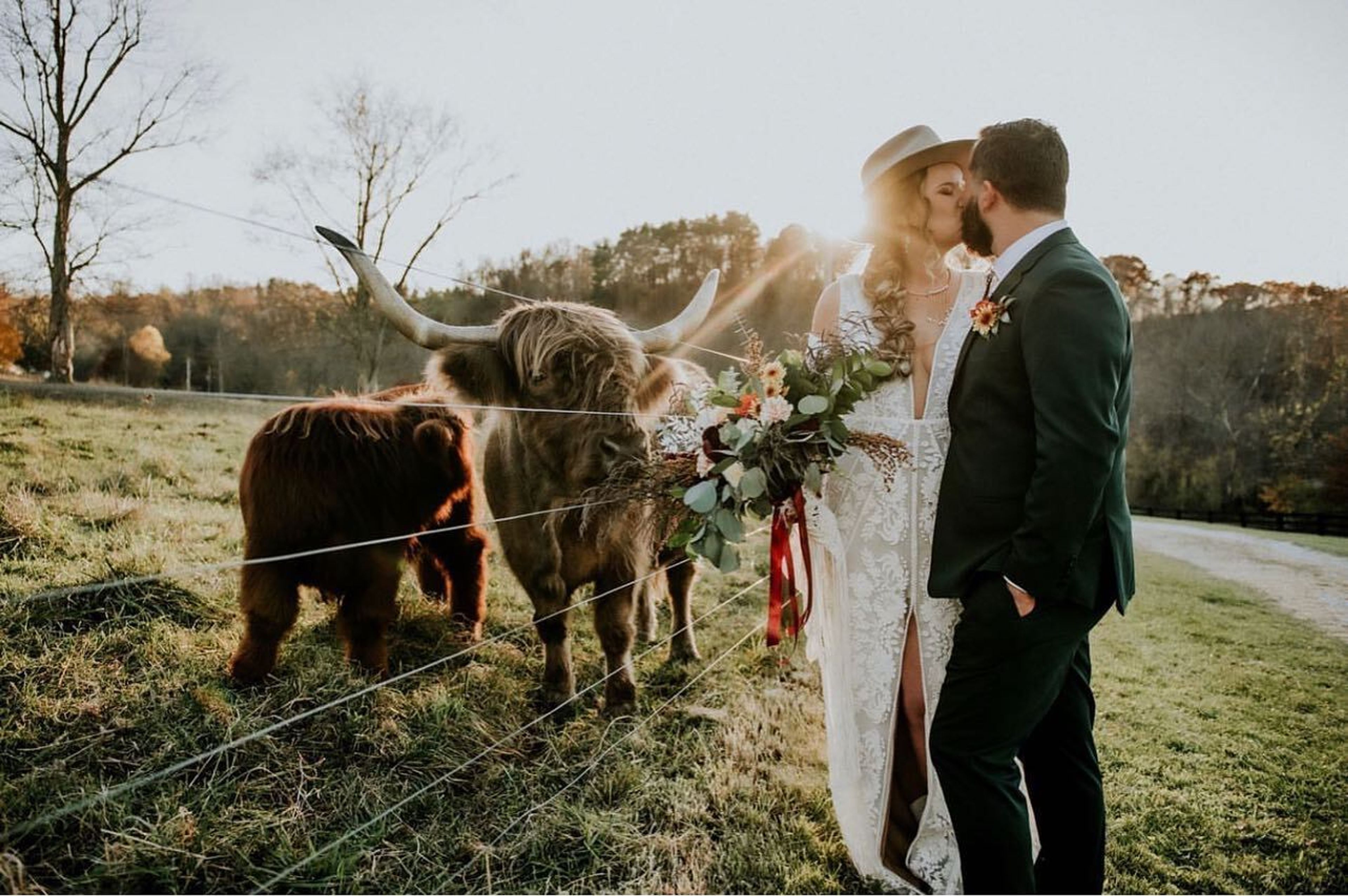 Cover photo of Rivercrest Farm