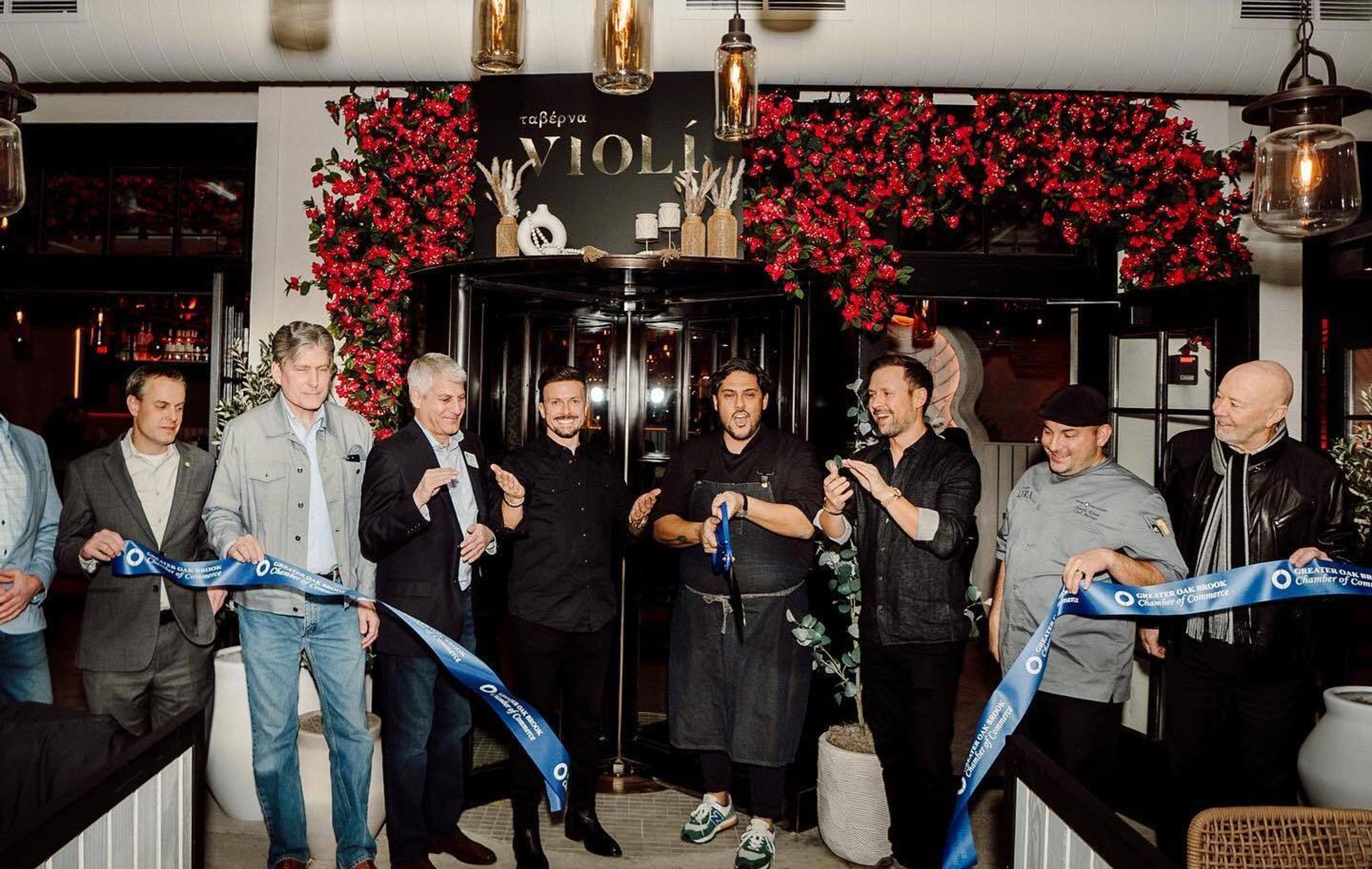 Cover photo of VIOLÍ