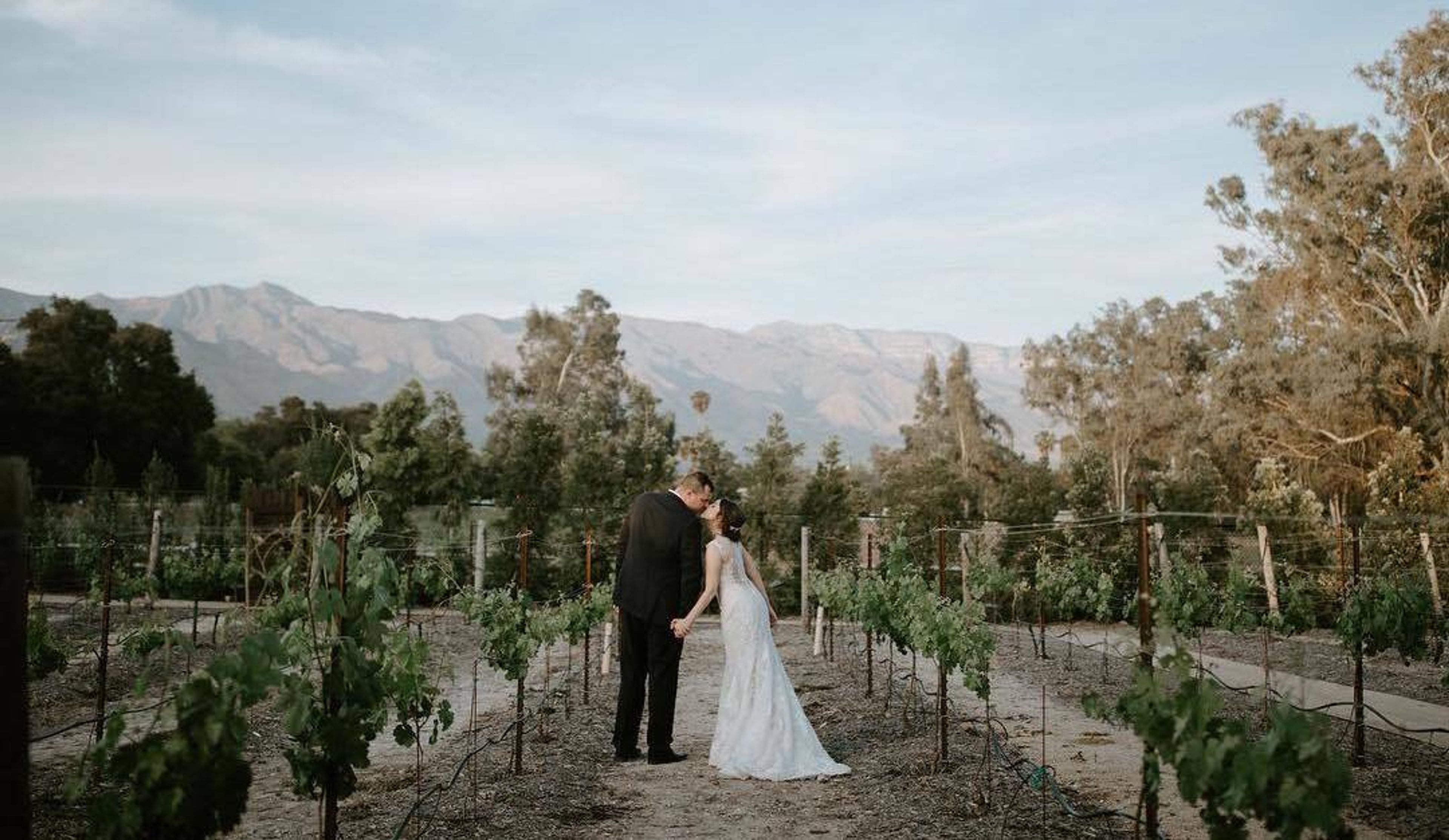 Cover photo of Ivy Weddings and Events