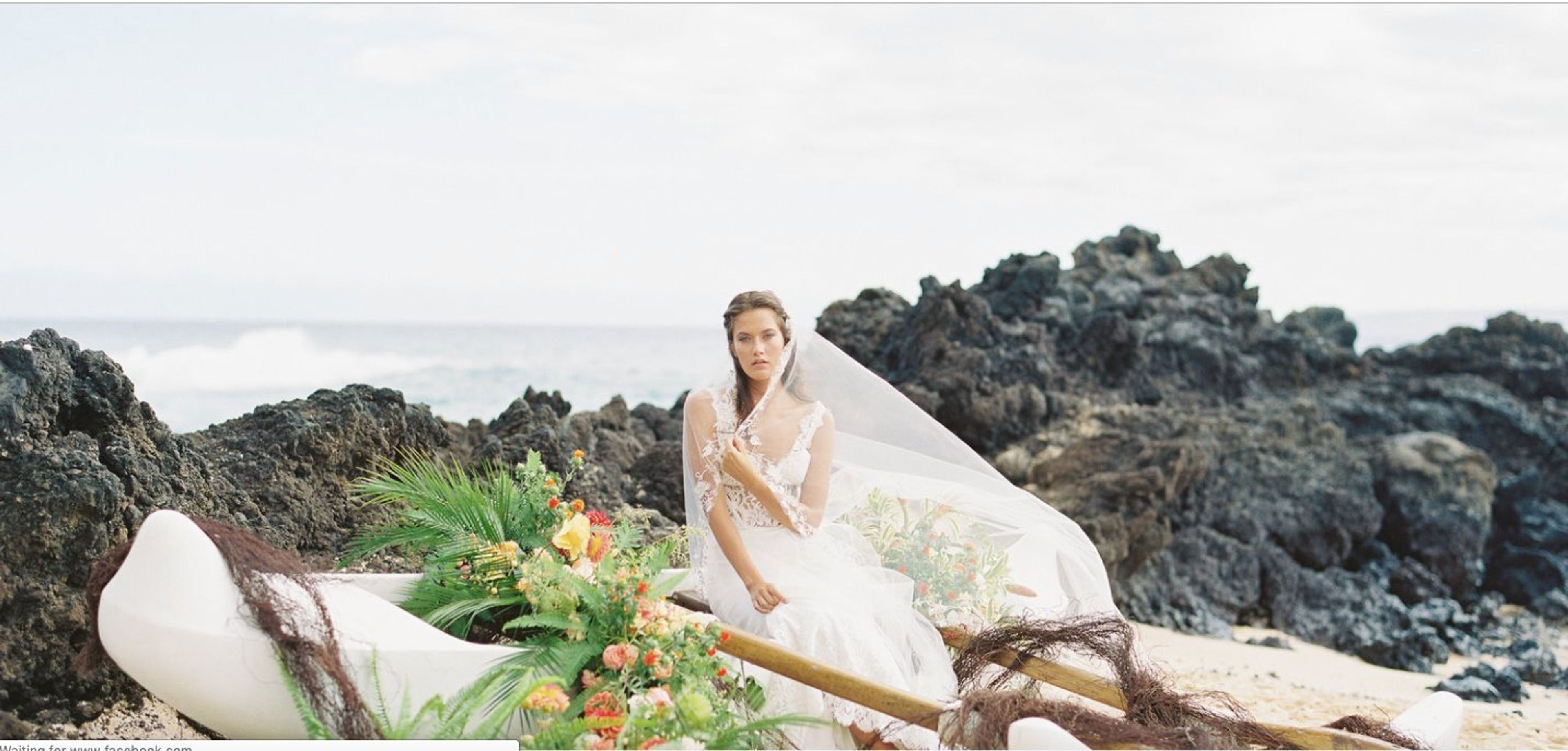 Cover photo of A White Orchid Wedding, Inc