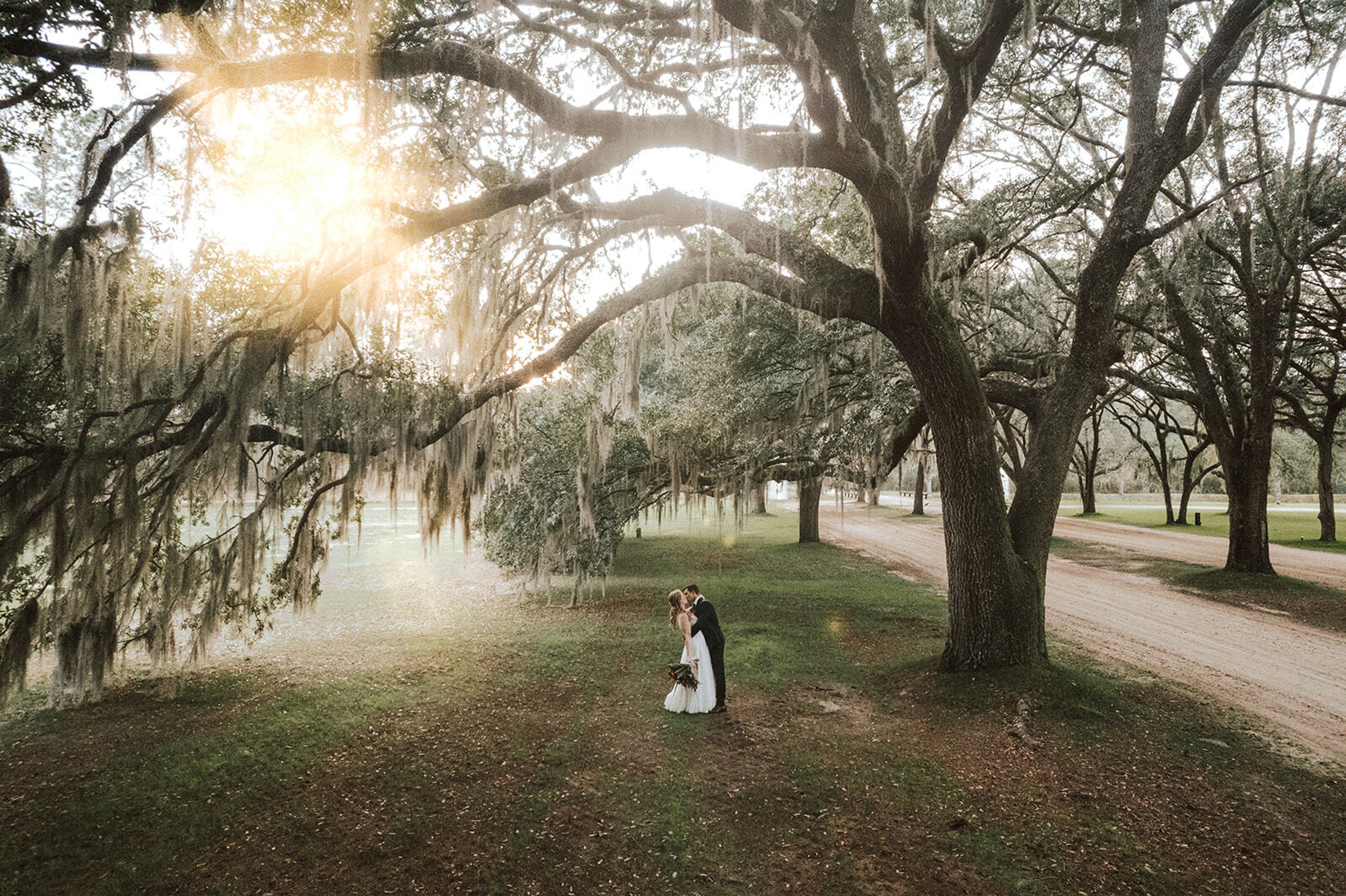 Cover photo of Tara LeClaire Weddings
