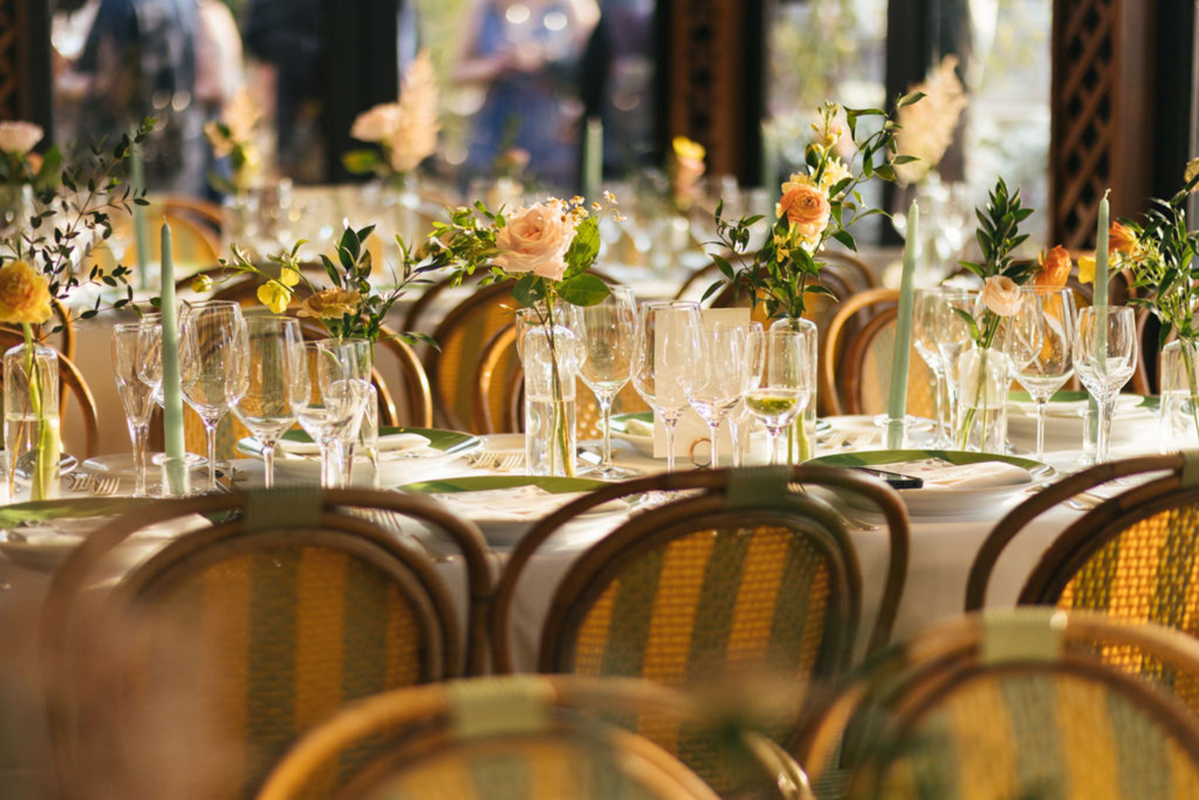 Cover photo of Ani Wolff Weddings and Wellness