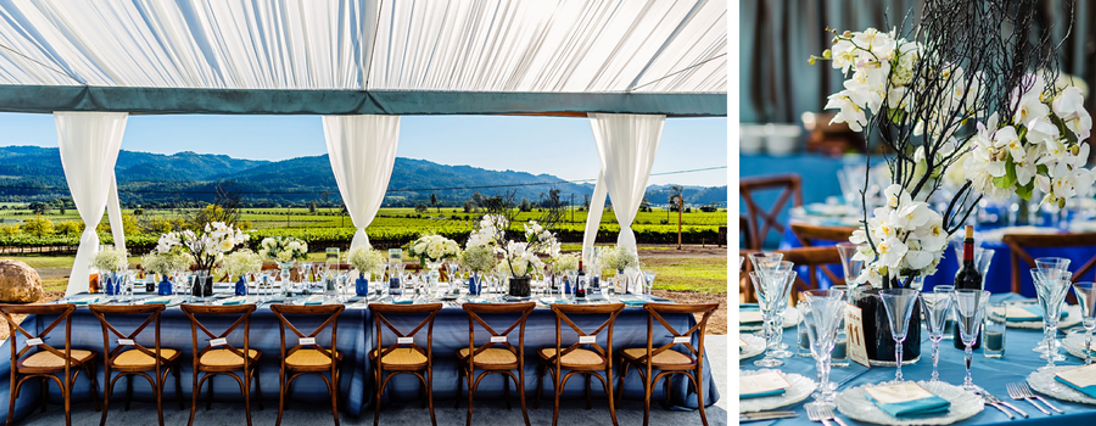 Cover photo of Sasha Souza Events