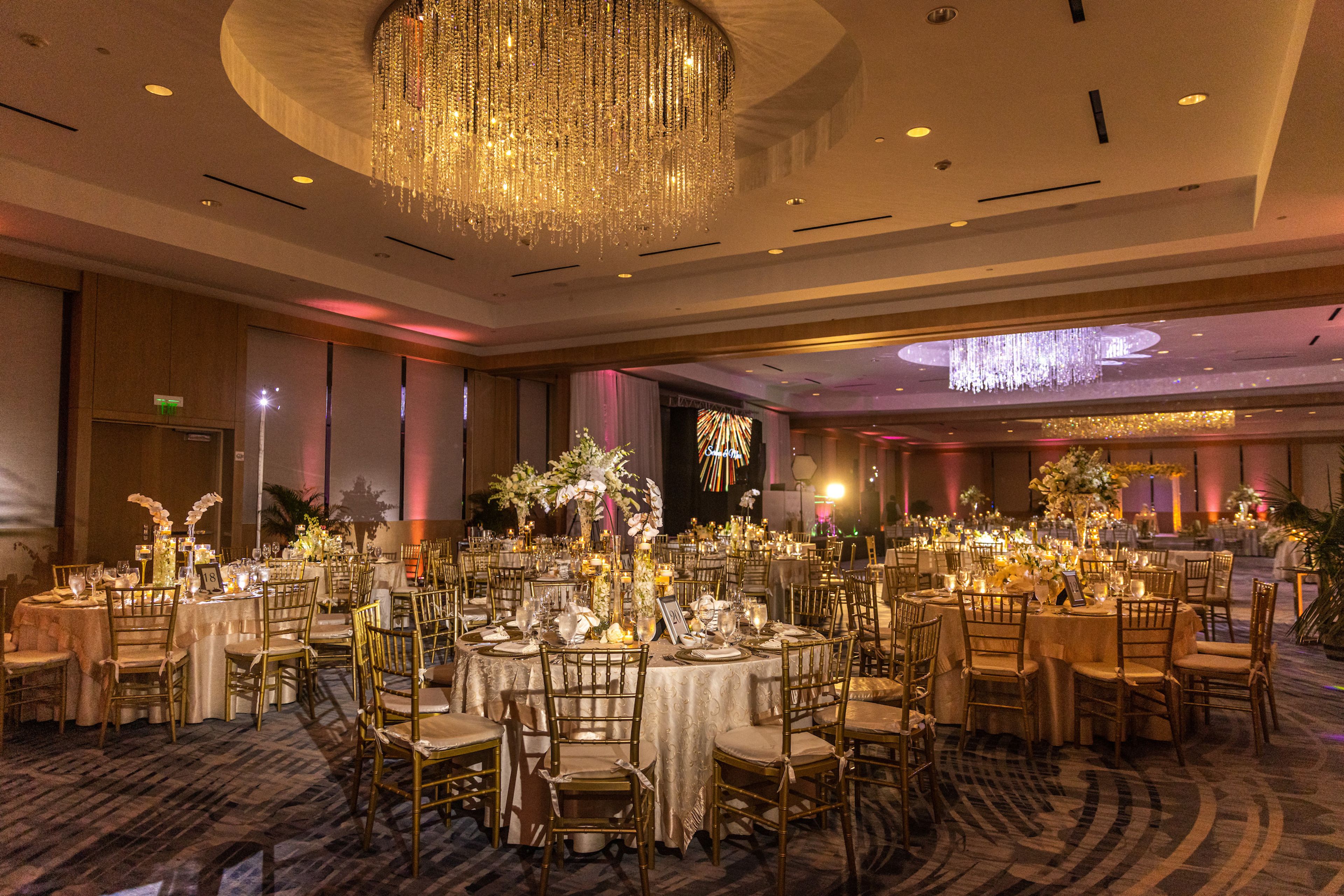 Cover photo of Sugarfree Studio