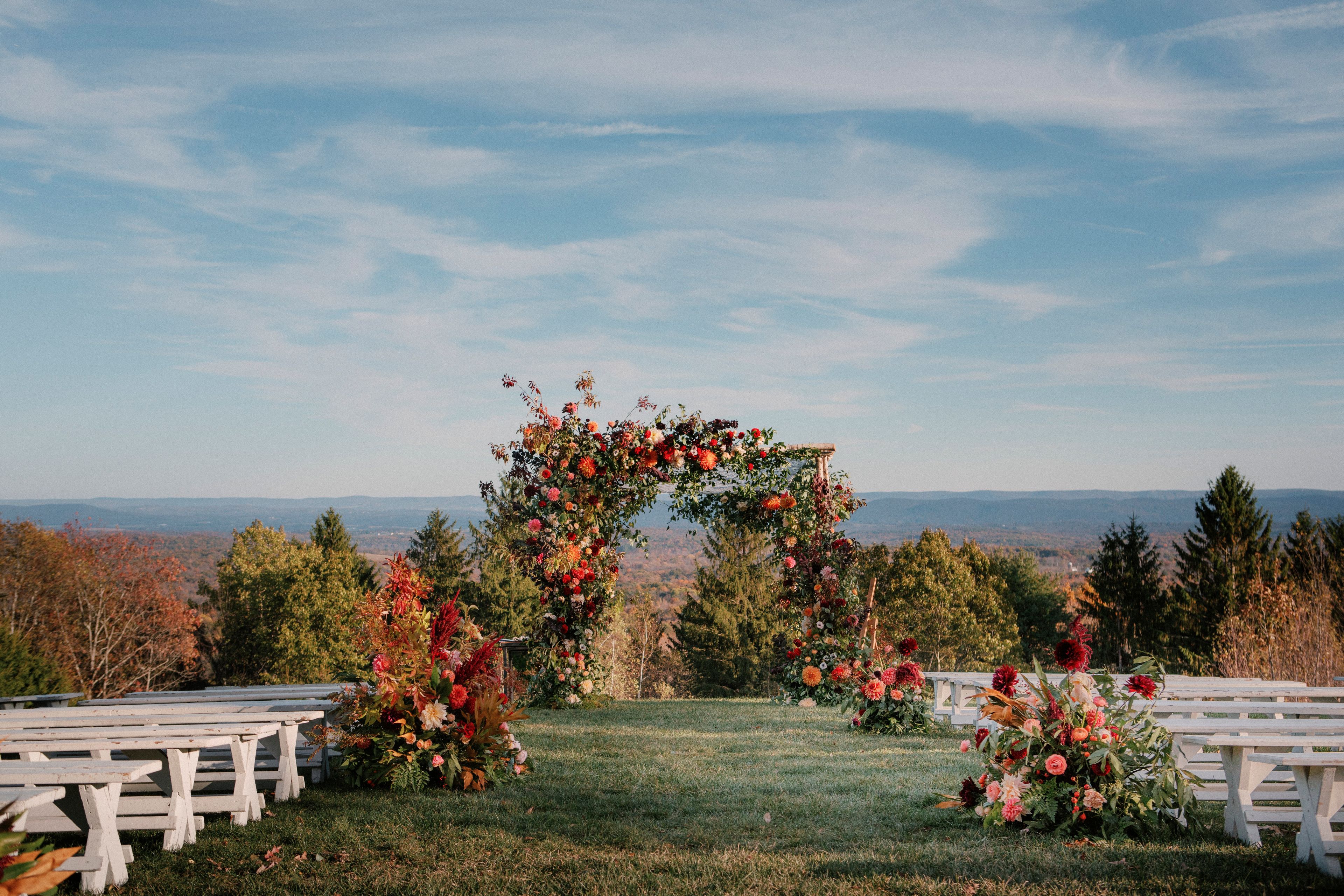 Cover photo of Mimosa Floral Design