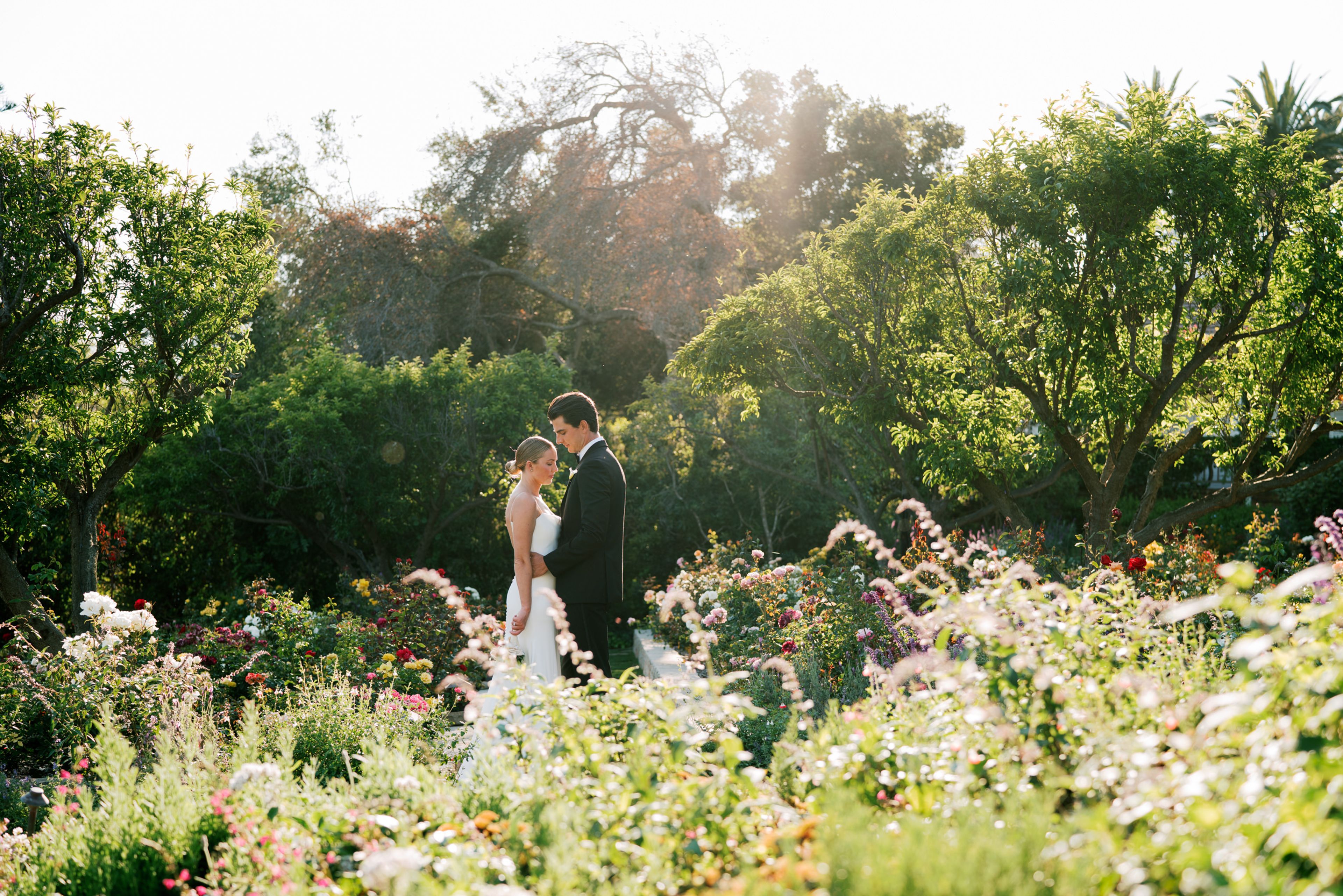 Cover photo of Preston Utley Photography