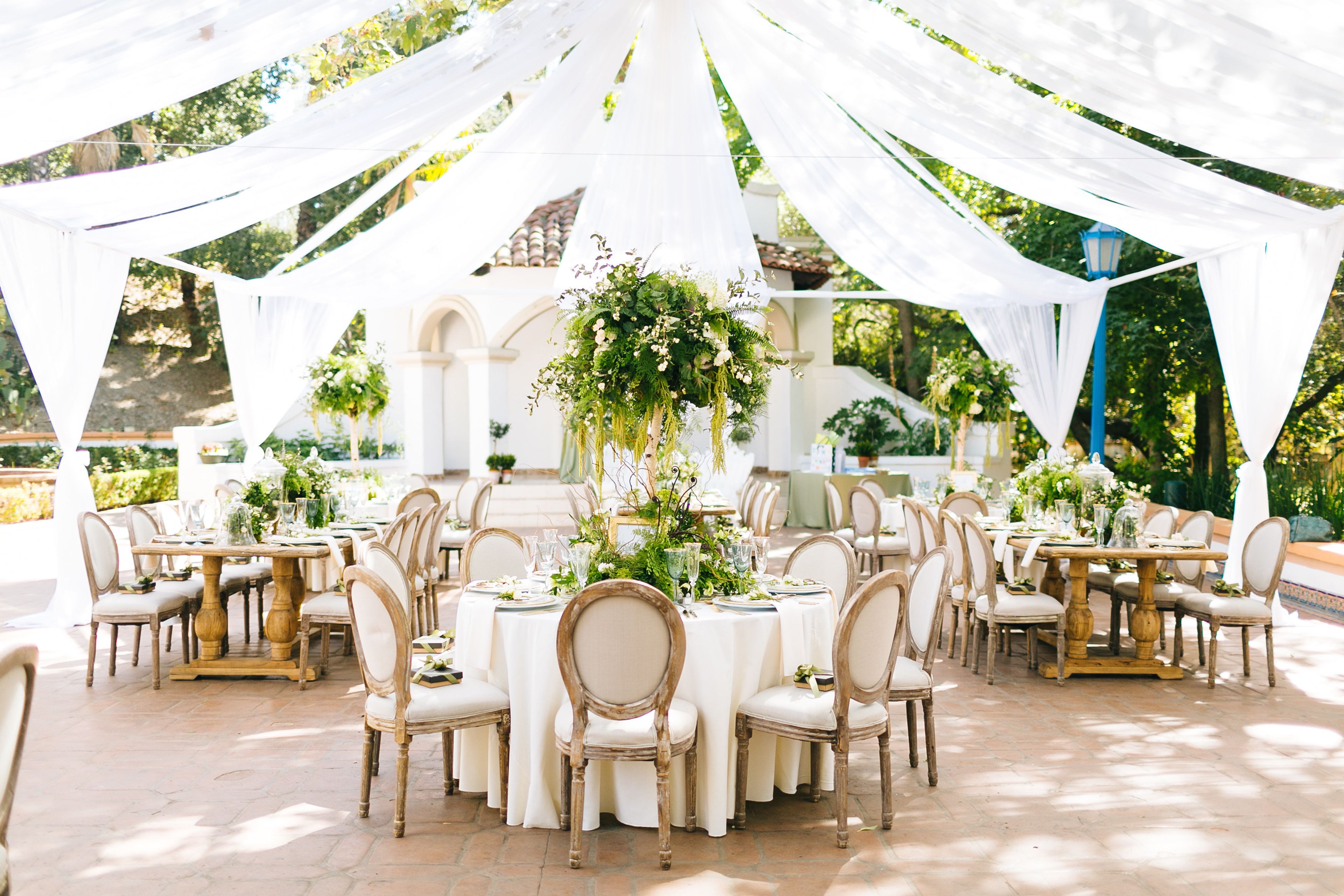 Cover photo of The Blushing Details