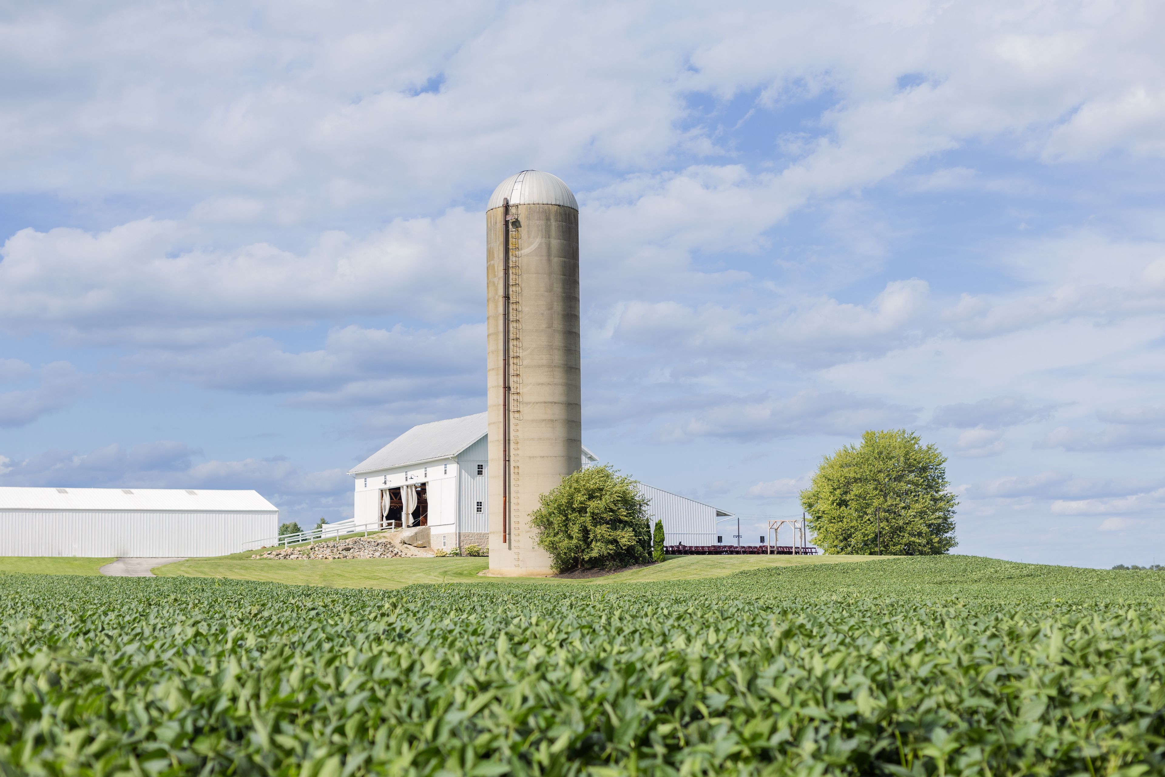 Cover photo of Arlington Acres