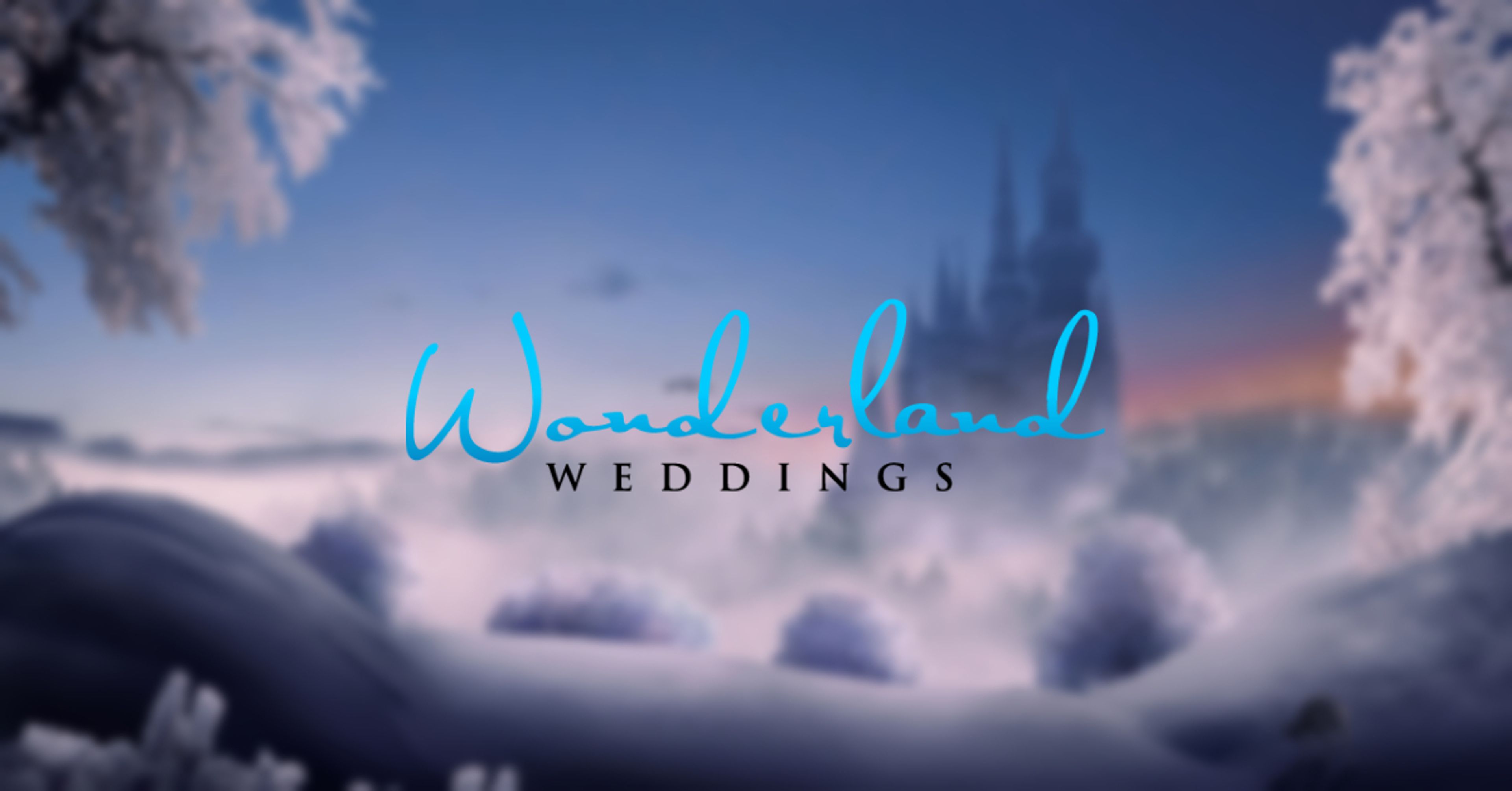 Cover photo of Wonderland Weddings