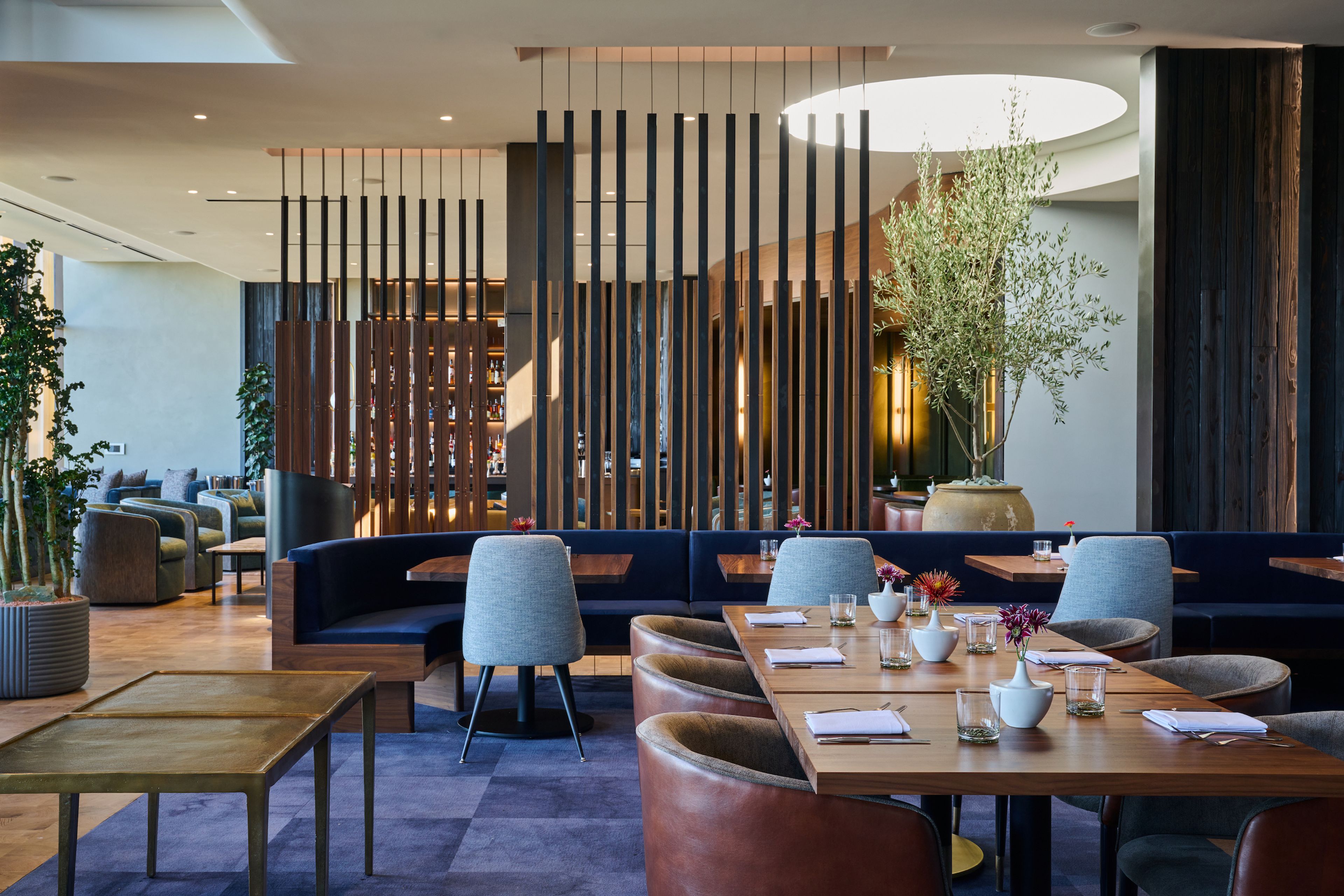 Cover photo of The Loren at Lady Bird Lake