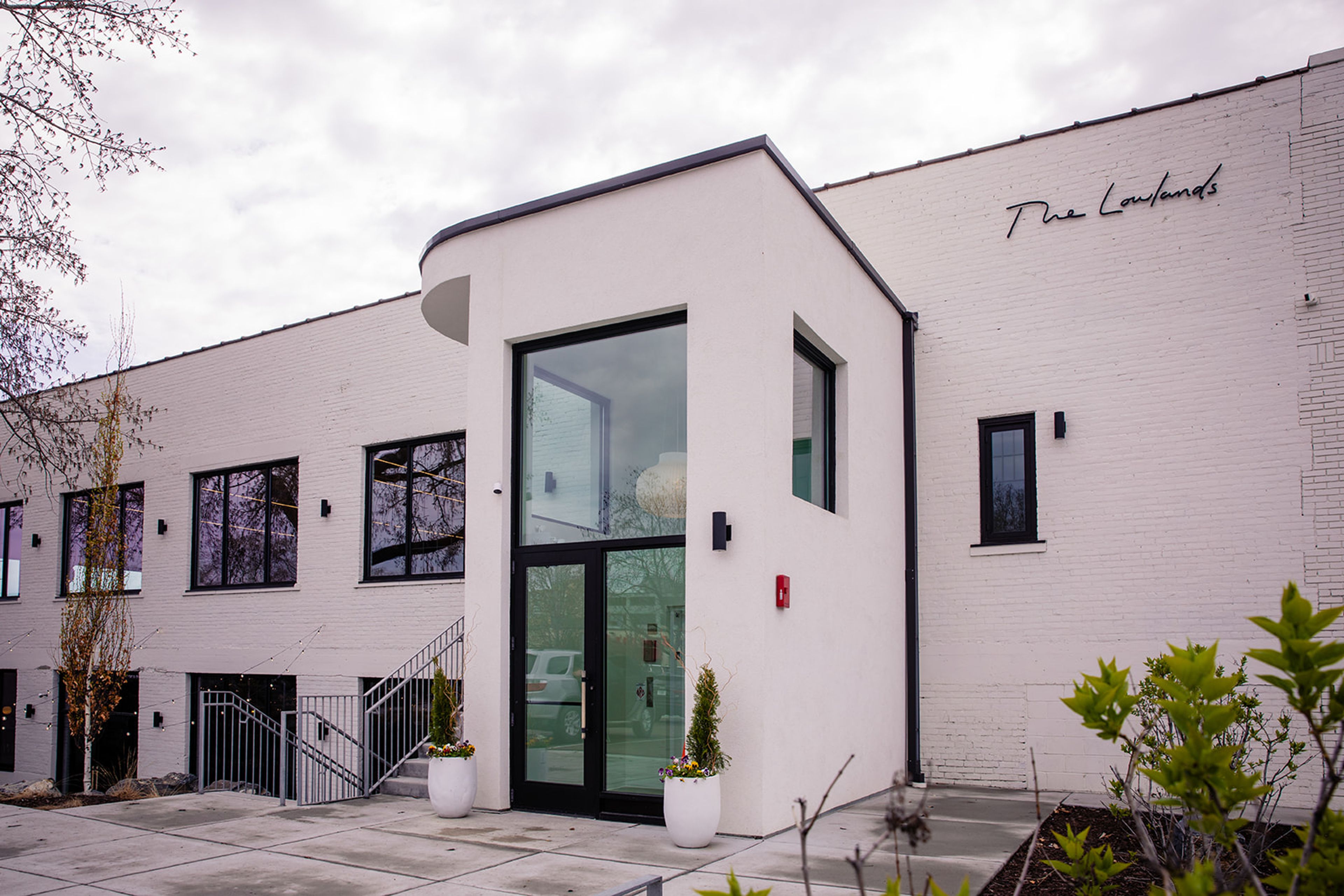 Cover photo of The Lowlands