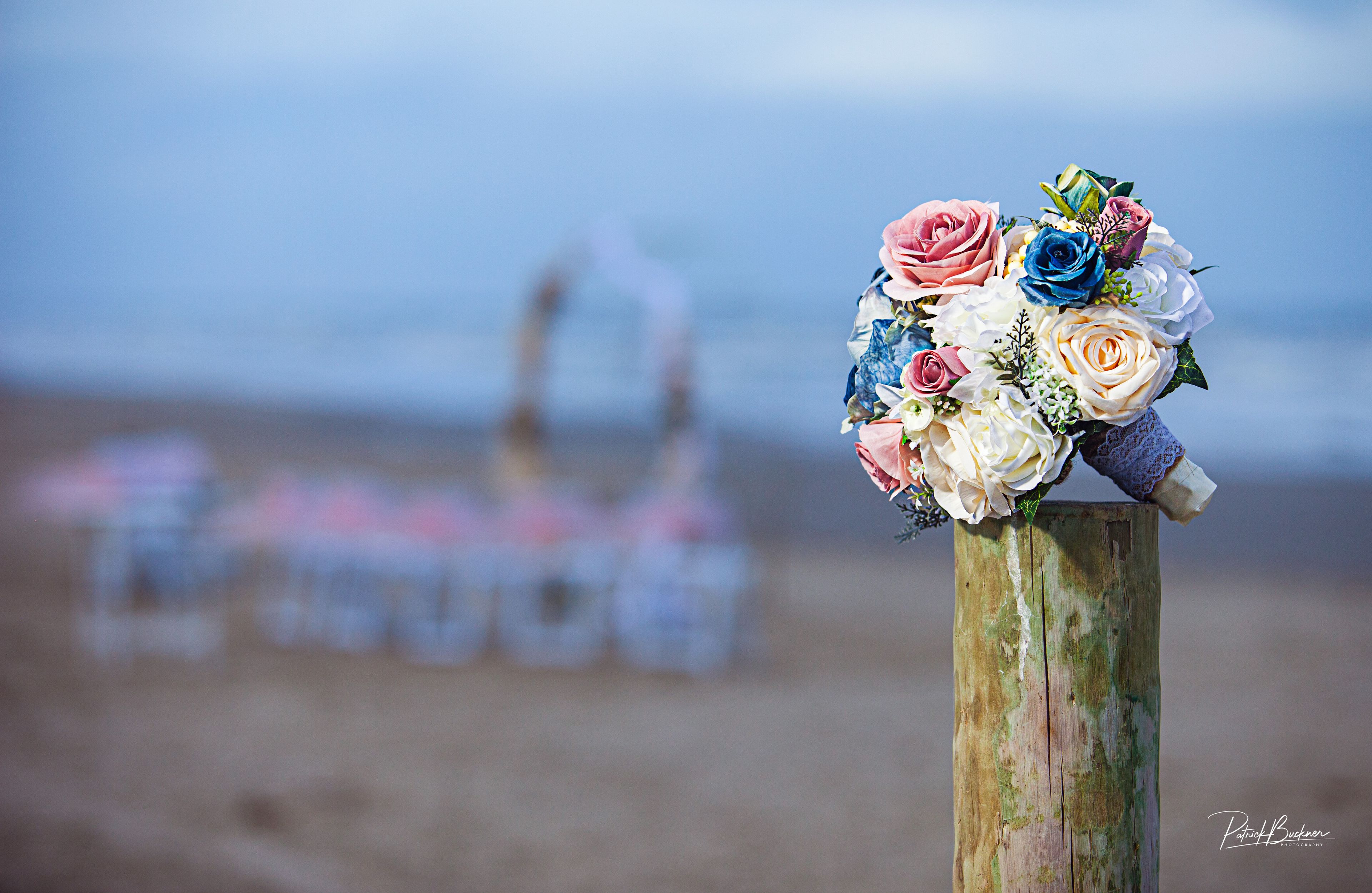 Cover photo of Patrick Buckner Photography