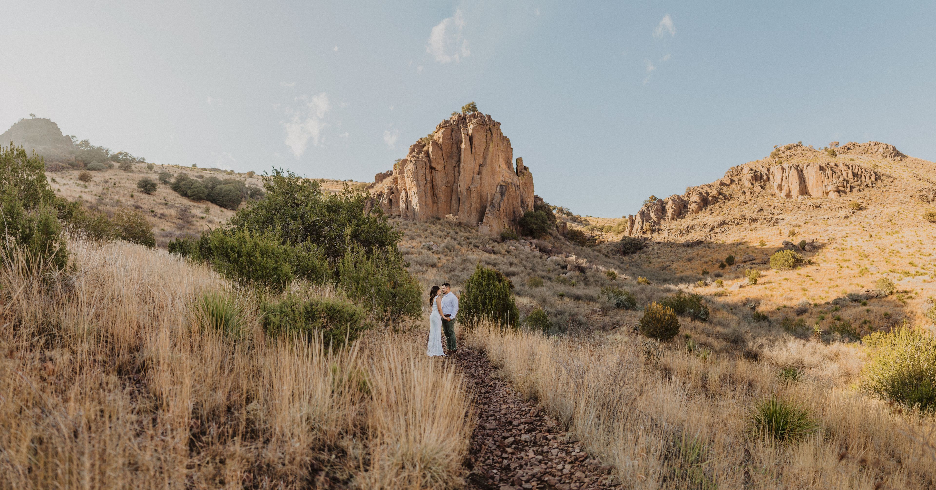 Cover photo of The Roaming Coyote