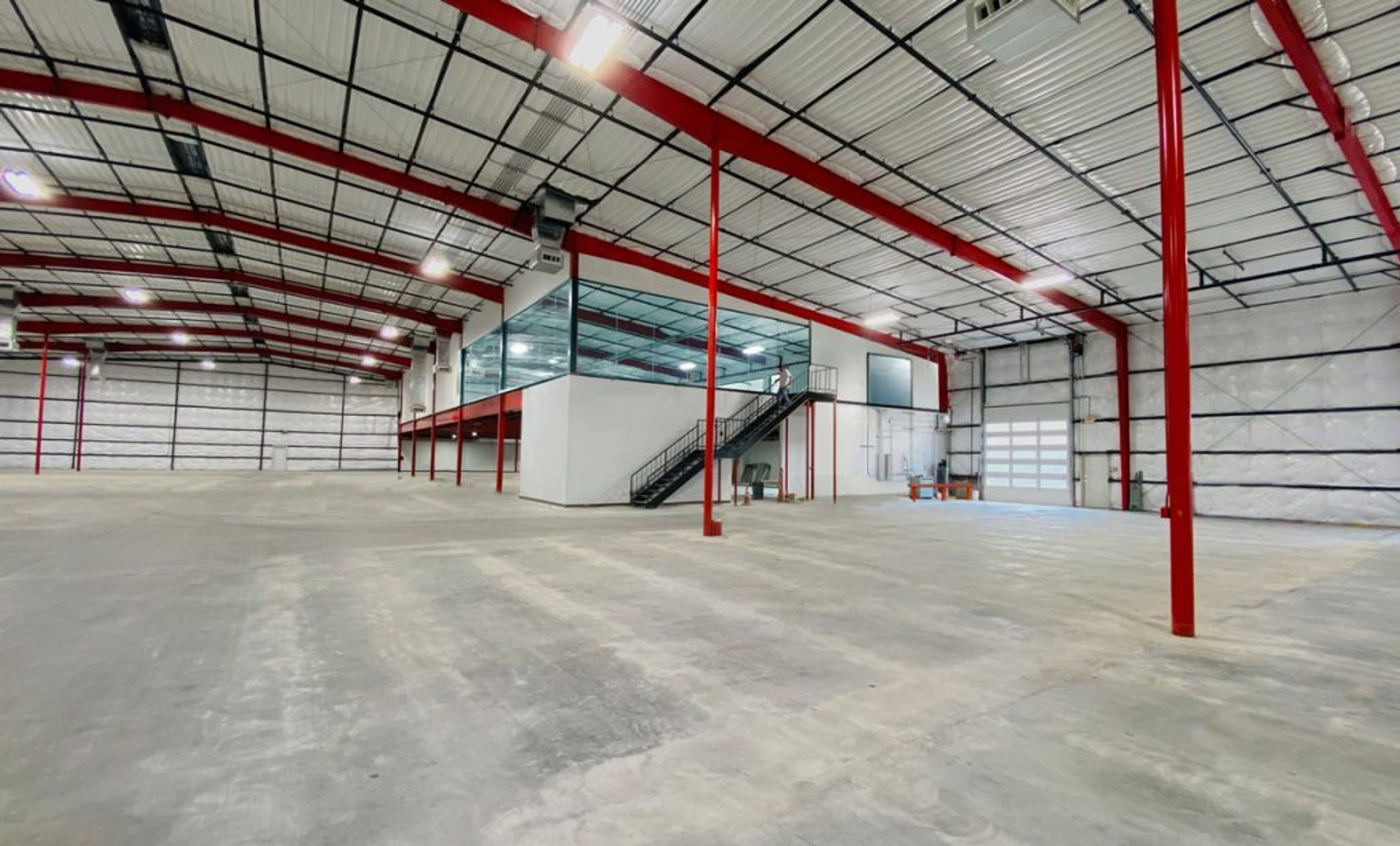 Cover photo of The Asylum