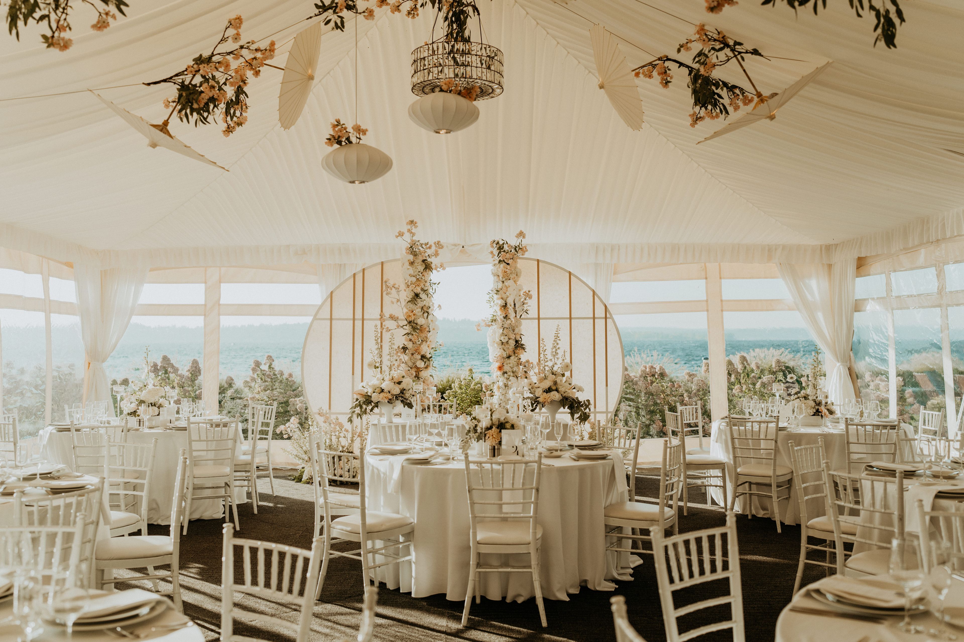 Cover photo of The Social Co.