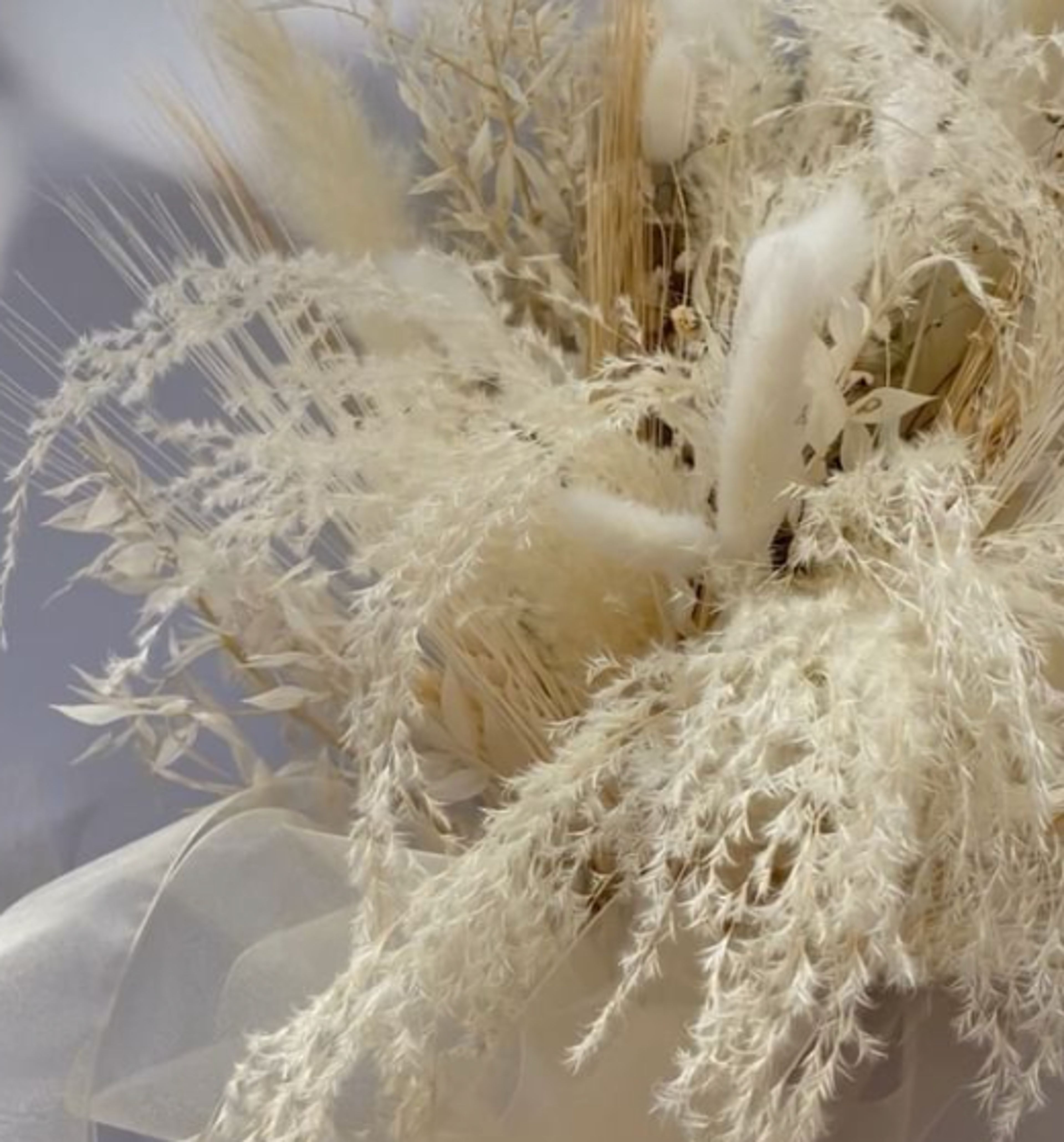 Cover photo of Pearl & Co