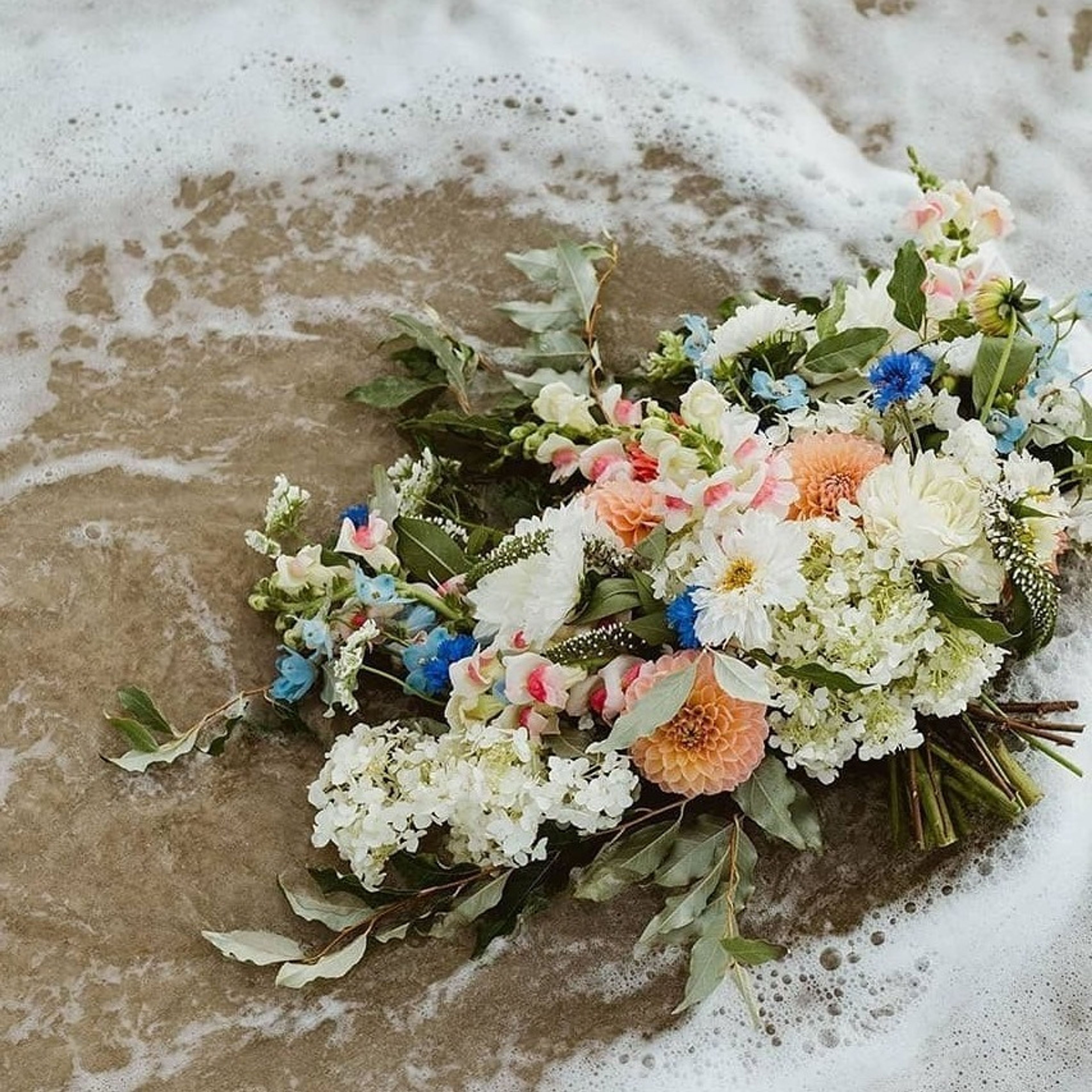 Cover photo of Sweet Blossoms