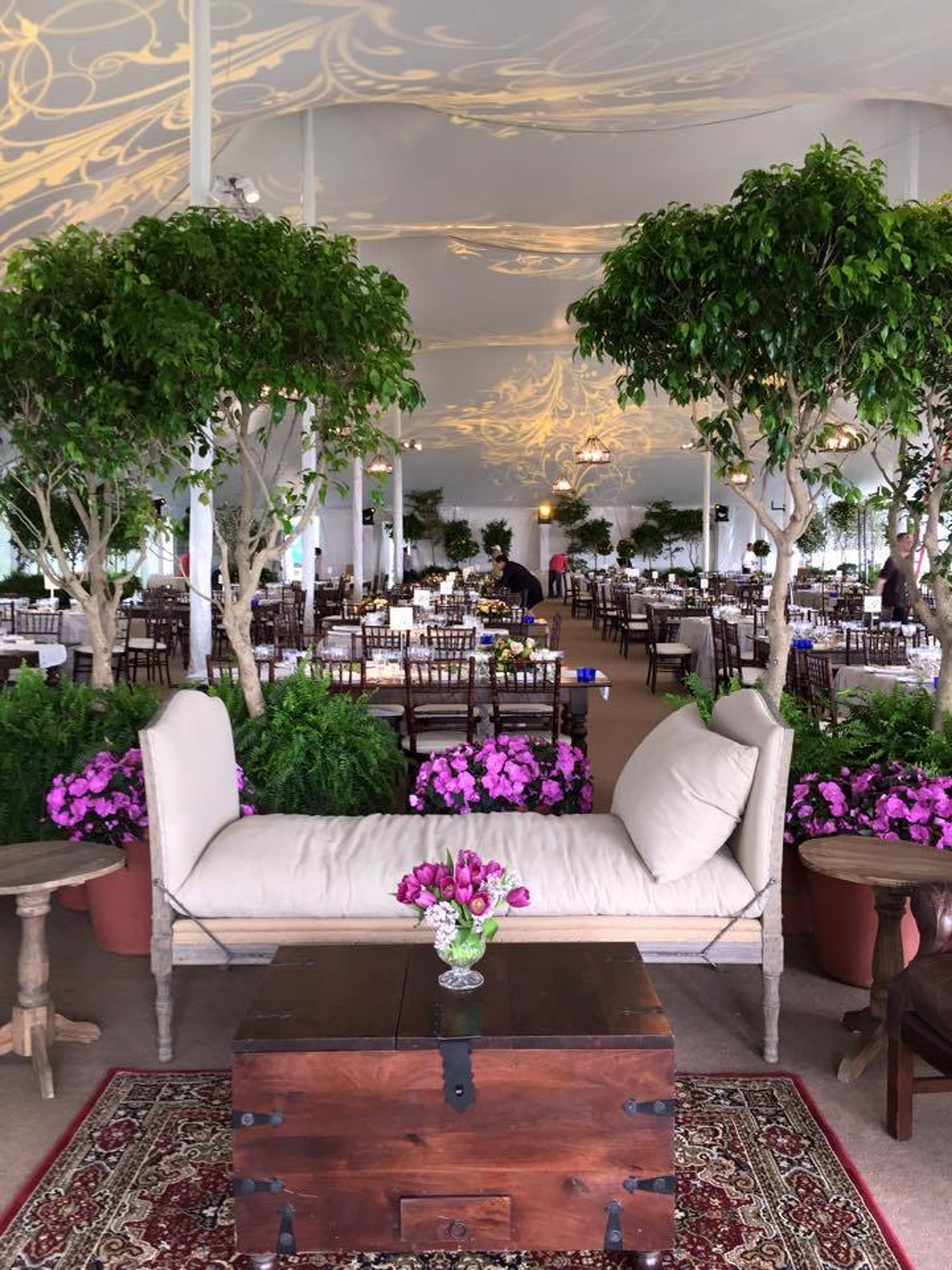 Cover photo of Plants Alive!