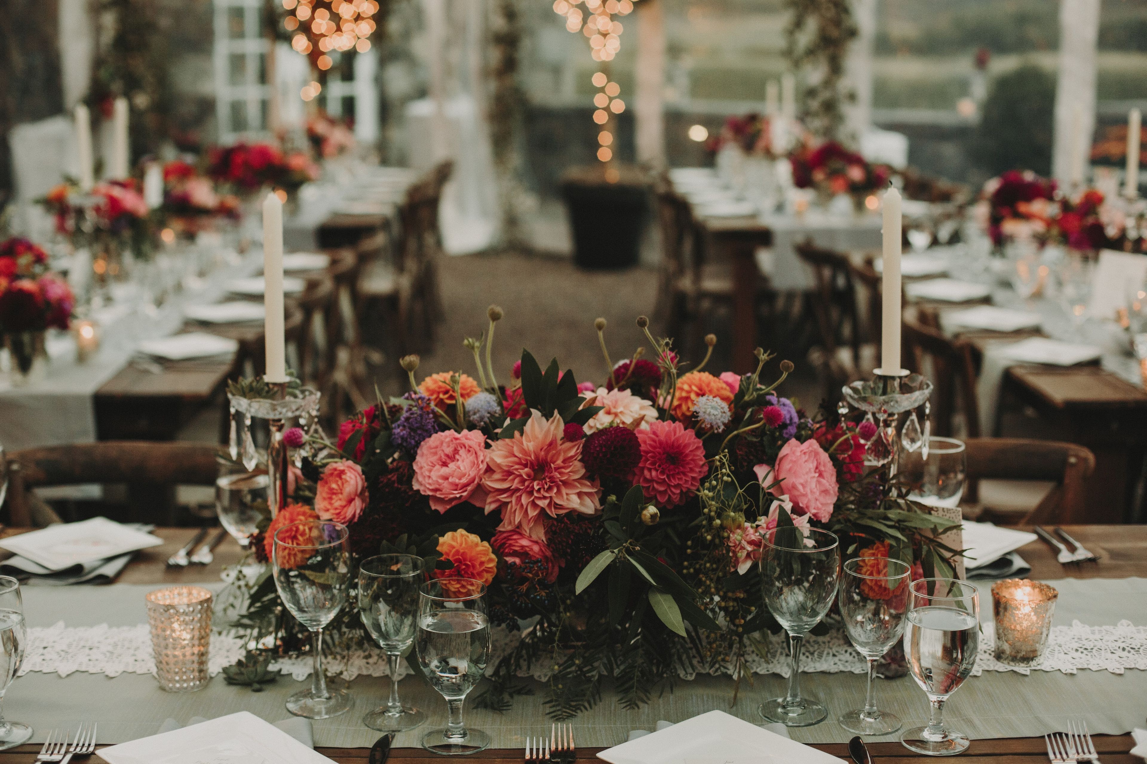 Cover photo of Mountain Flowers of Aspen