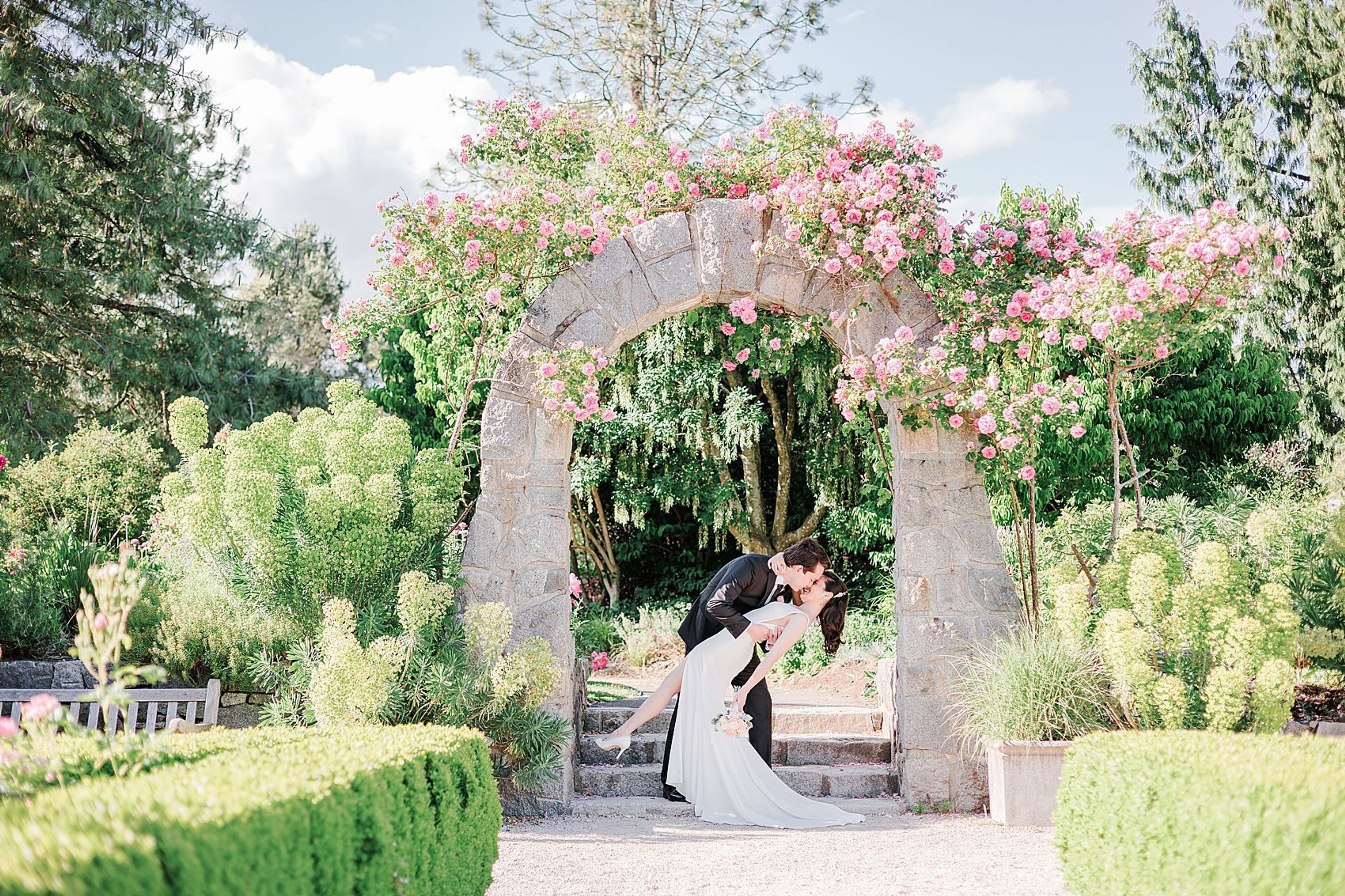 Cover photo of Vivian Ng Photography