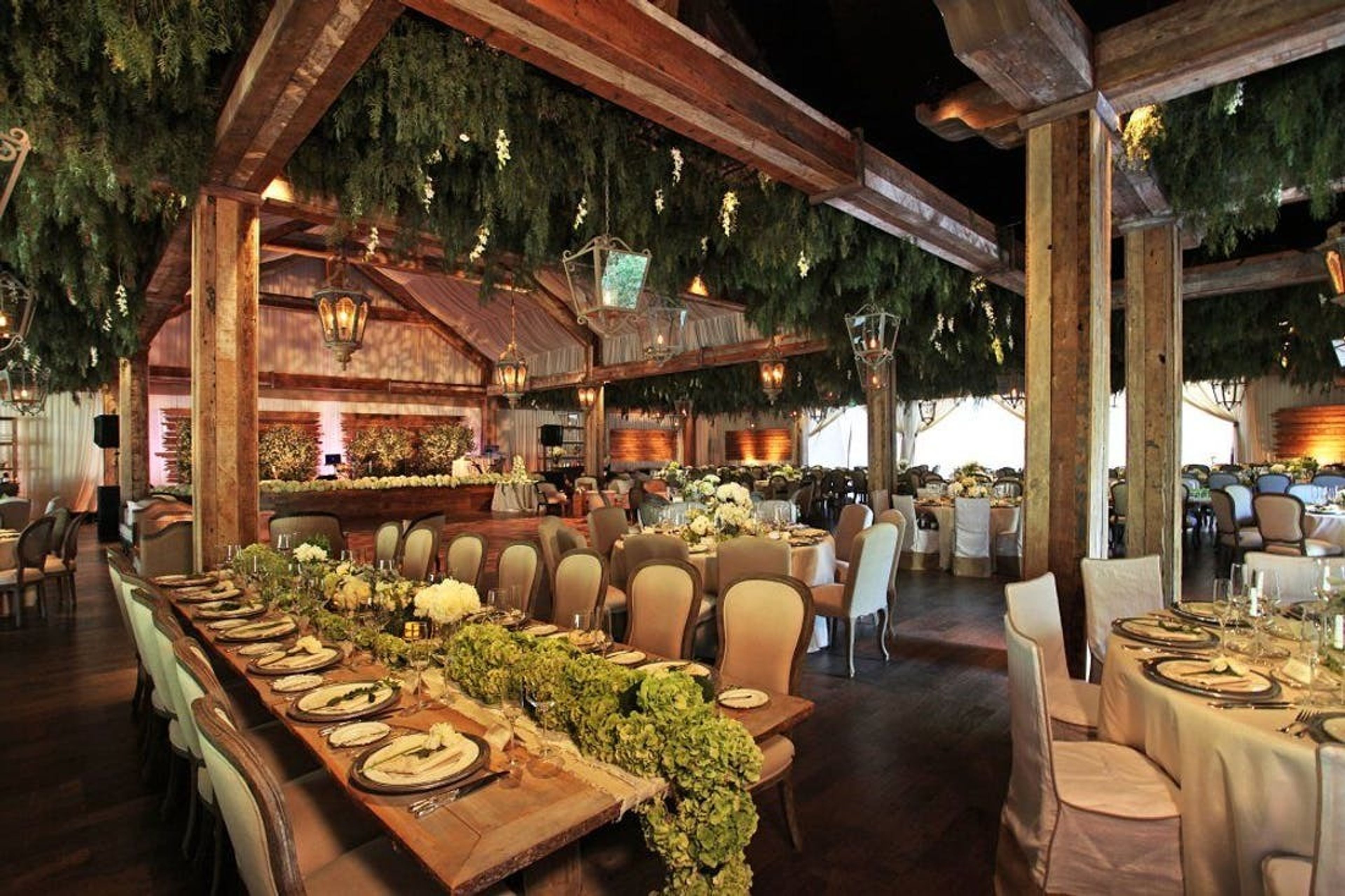 Cover photo of The Velvet Garden