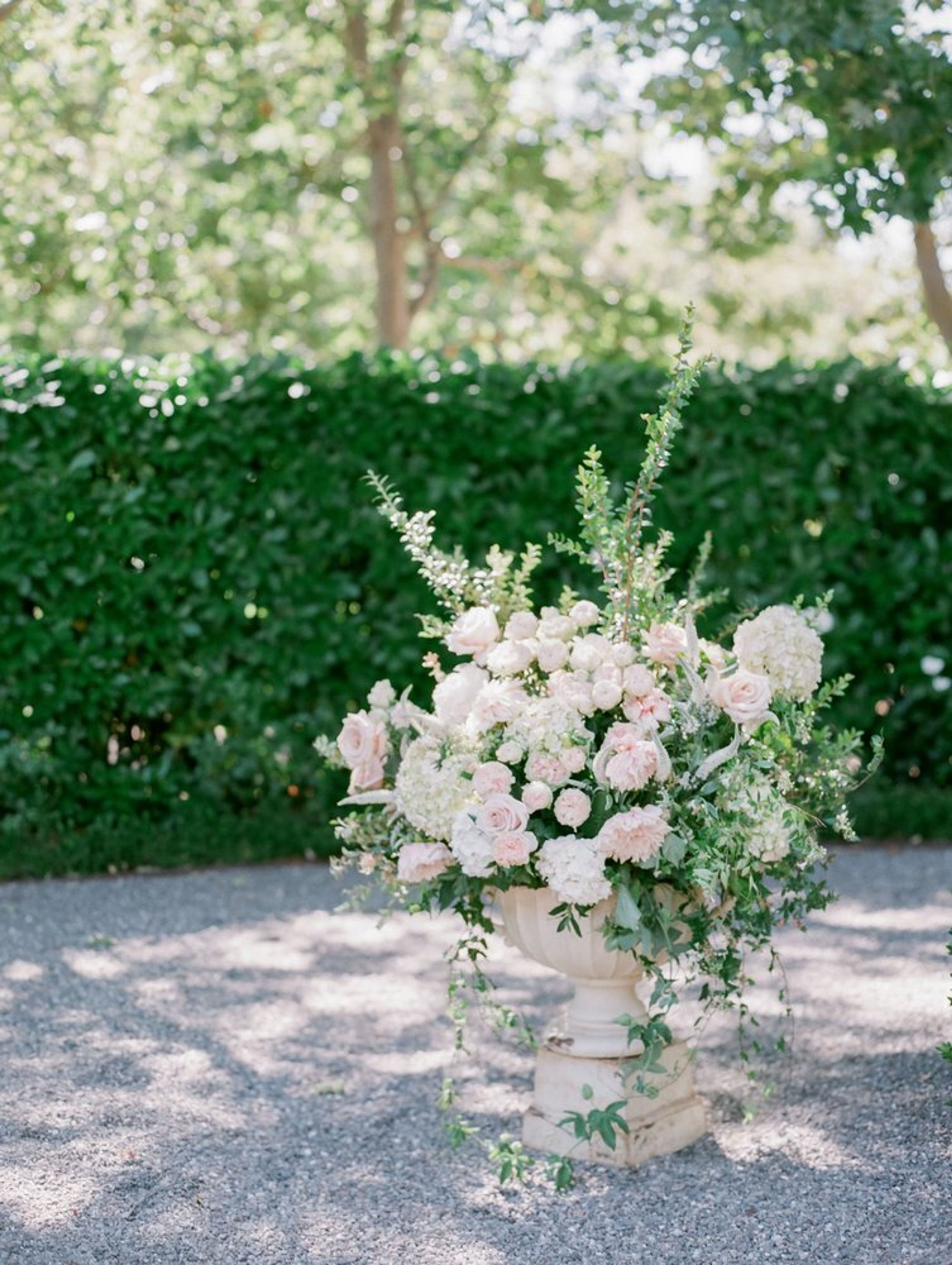 Cover photo of Valley Flora