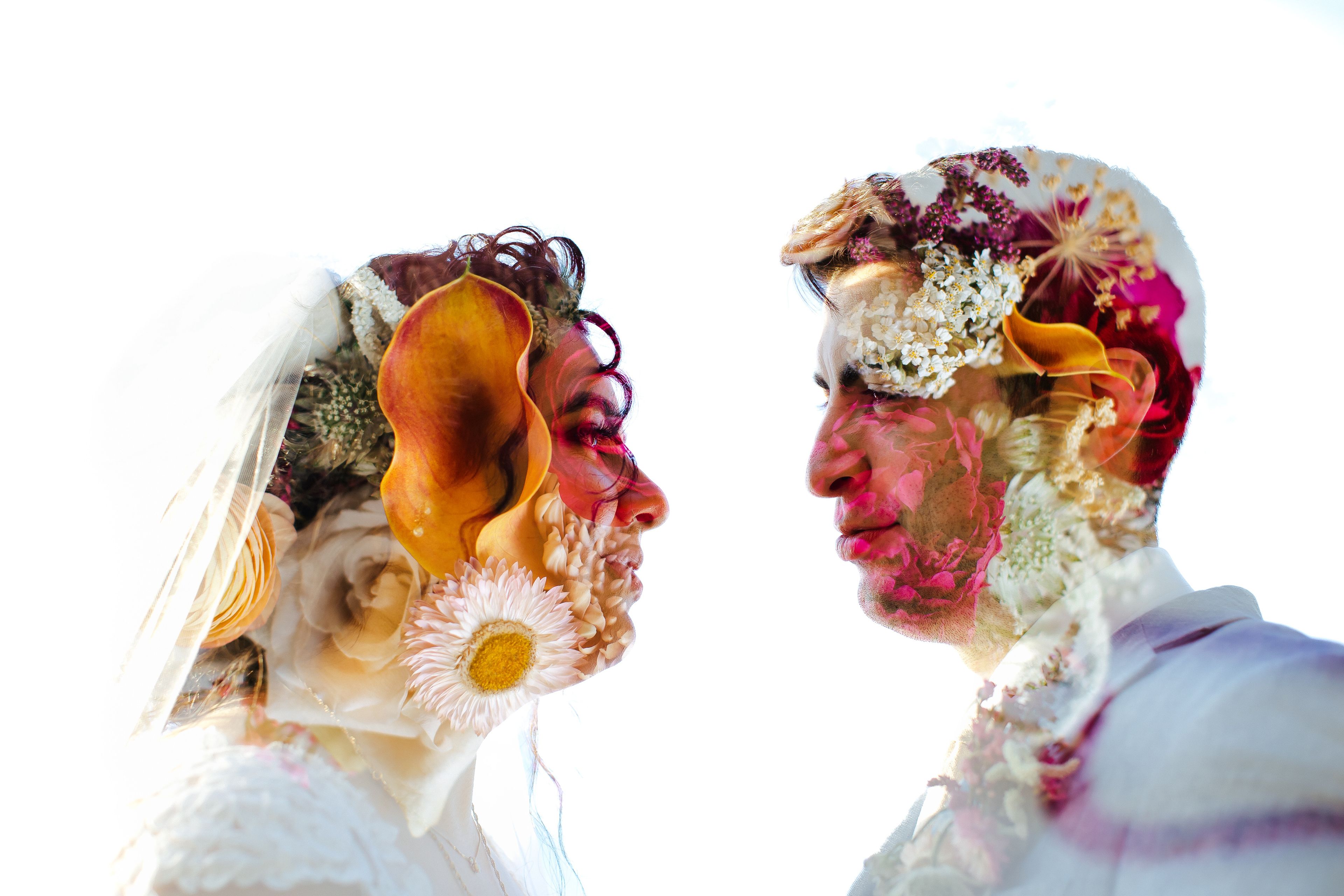 Cover photo of Tiny House Photo LLC