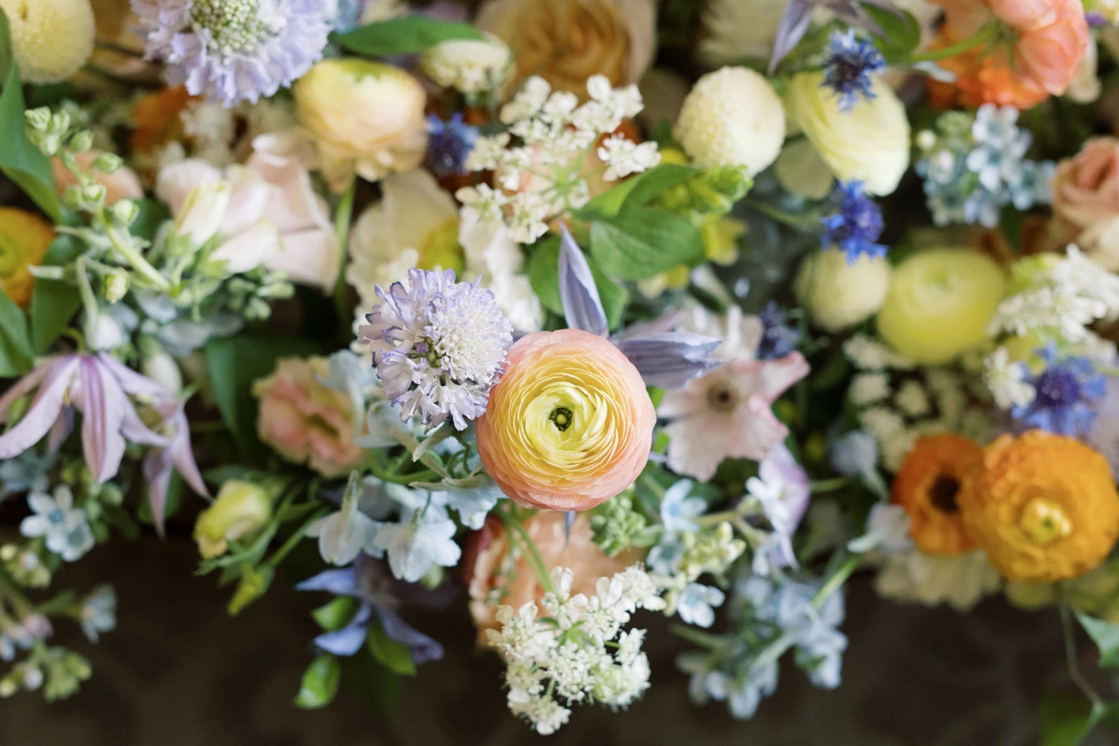 Cover photo of Echoes of Eden Florals