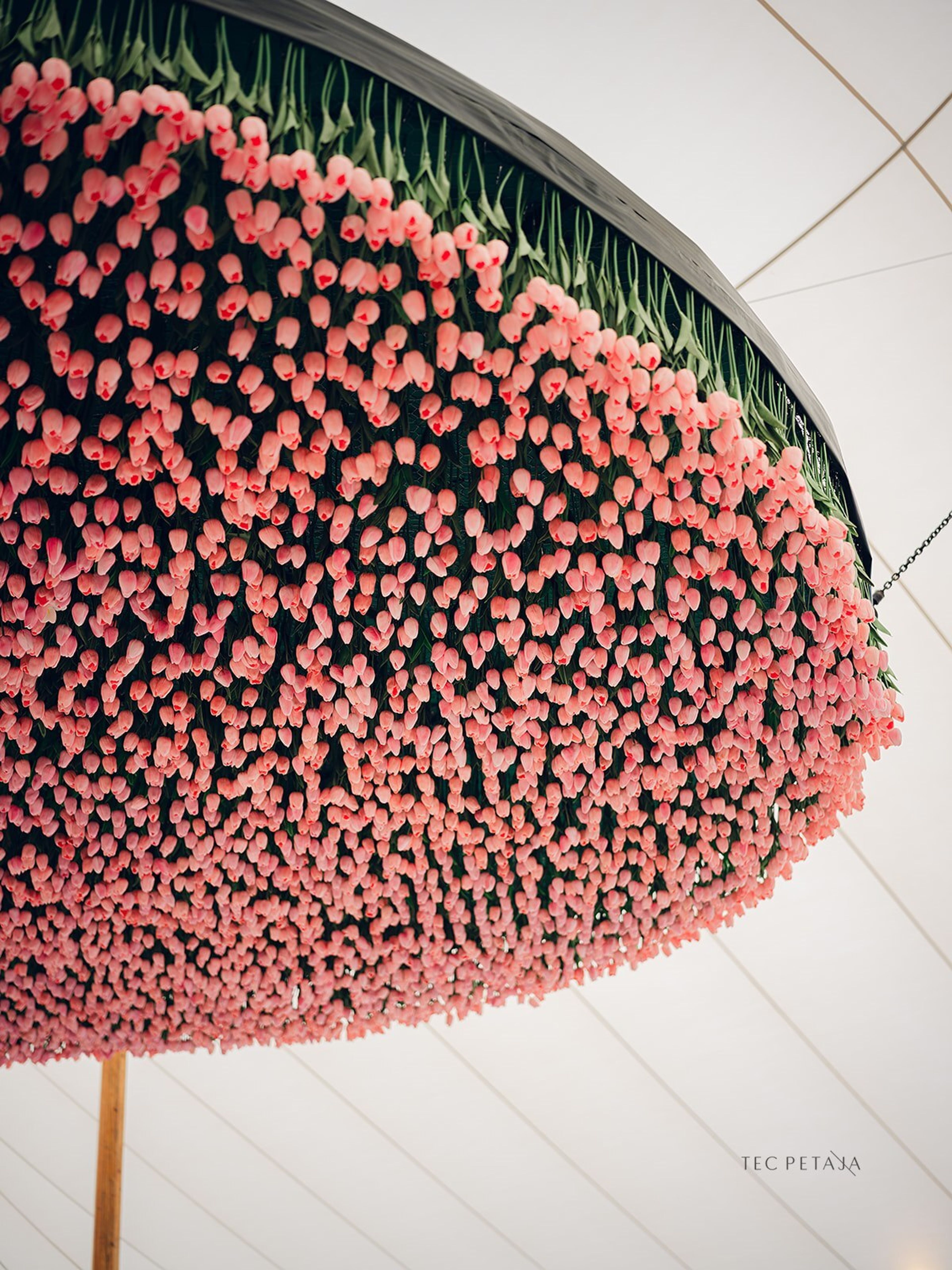 Cover photo of Kyle Michelle Weddings and Events