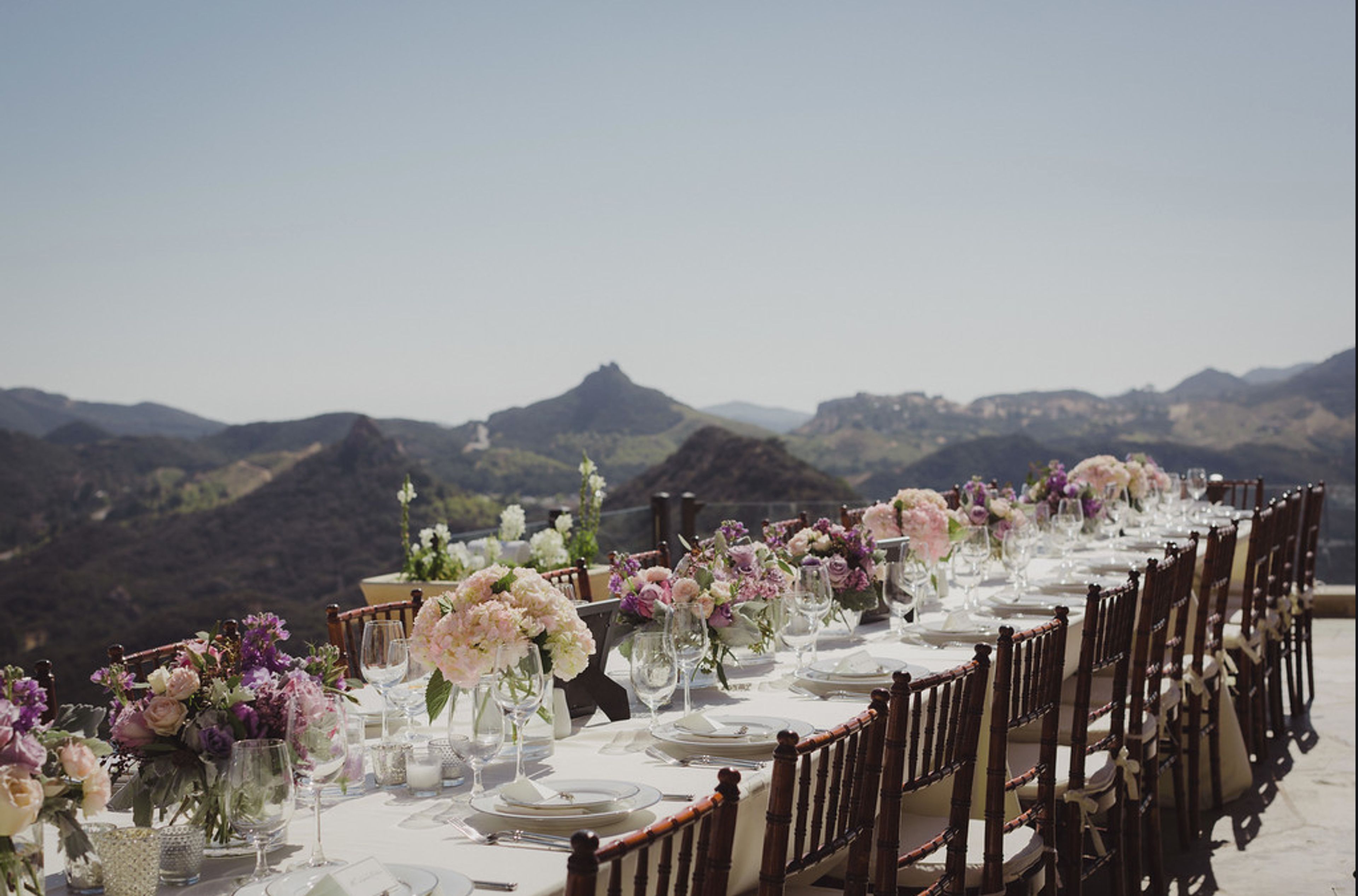 Cover photo of Amy's Culinary Adventures