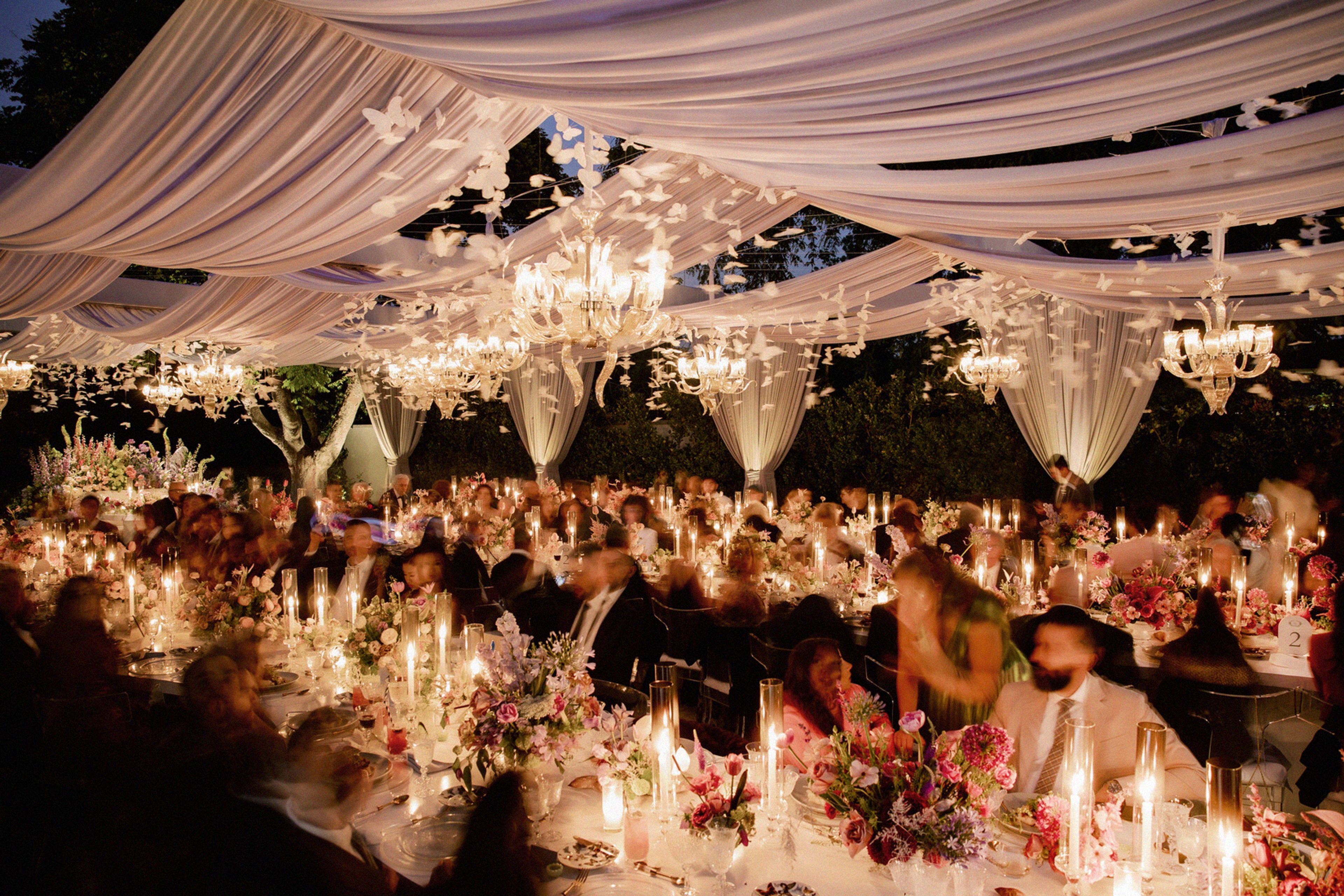 Cover photo of Rene Zadori