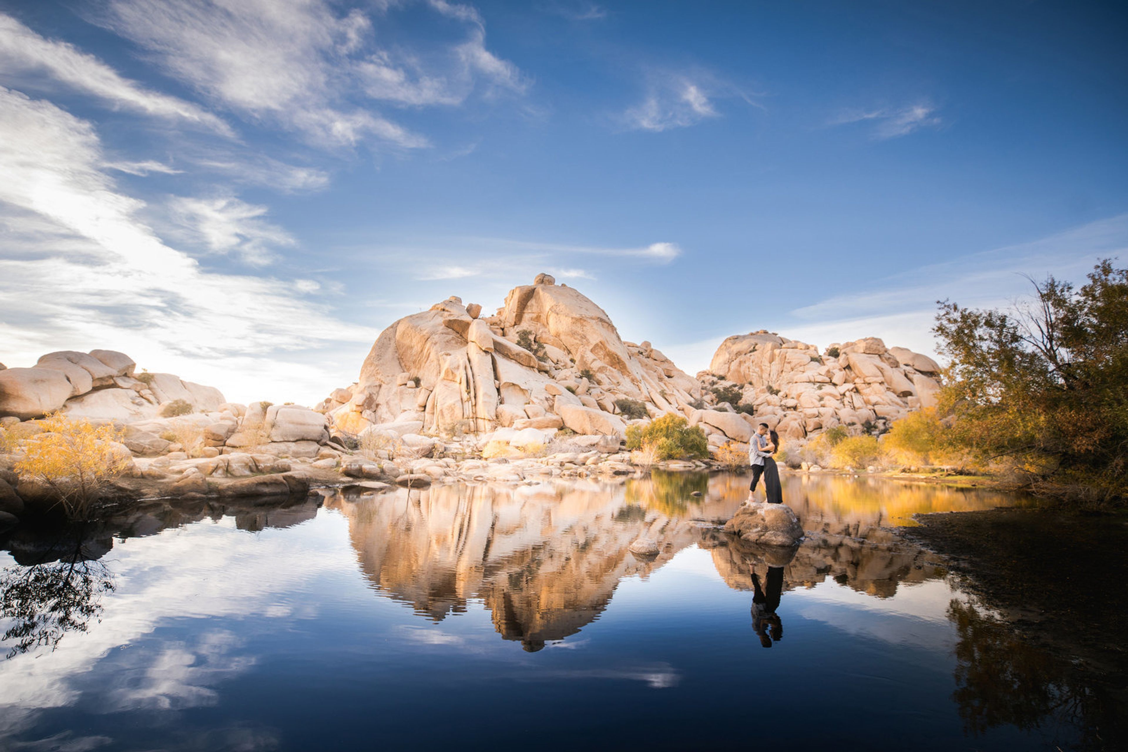 Cover photo of Andy Seo Studio