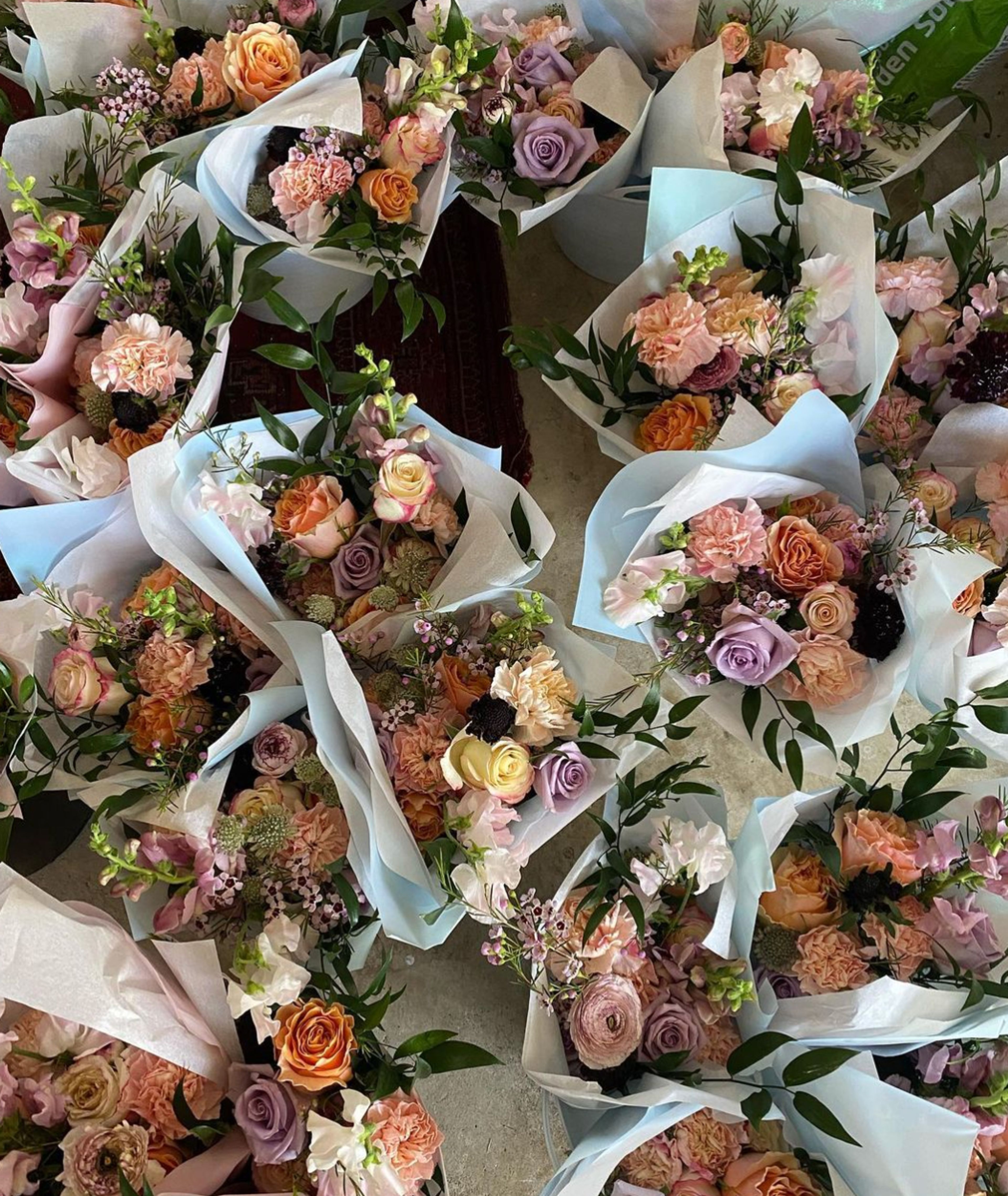 Cover photo of Petal DC