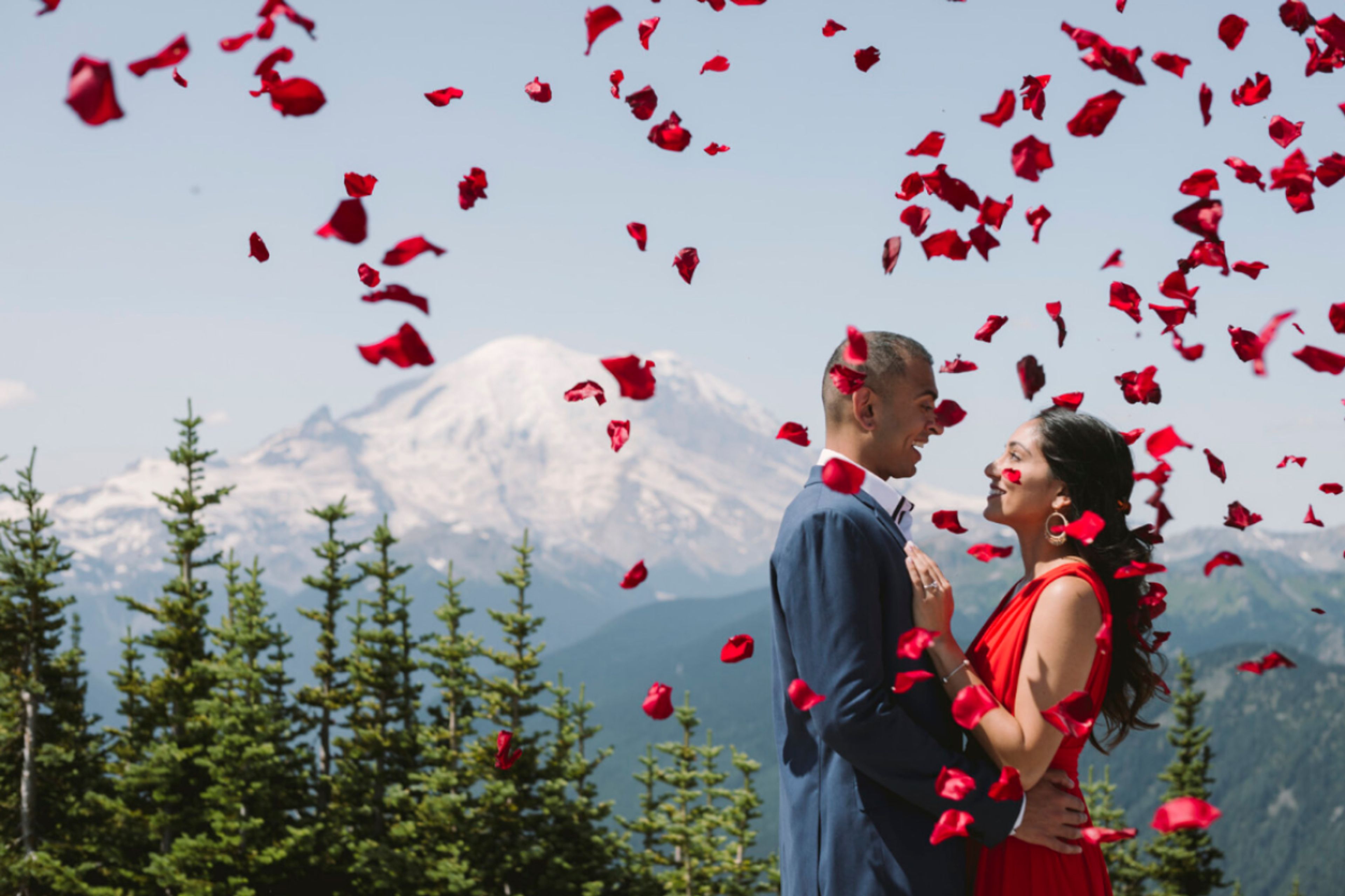 Cover photo of Christie Becker Violin