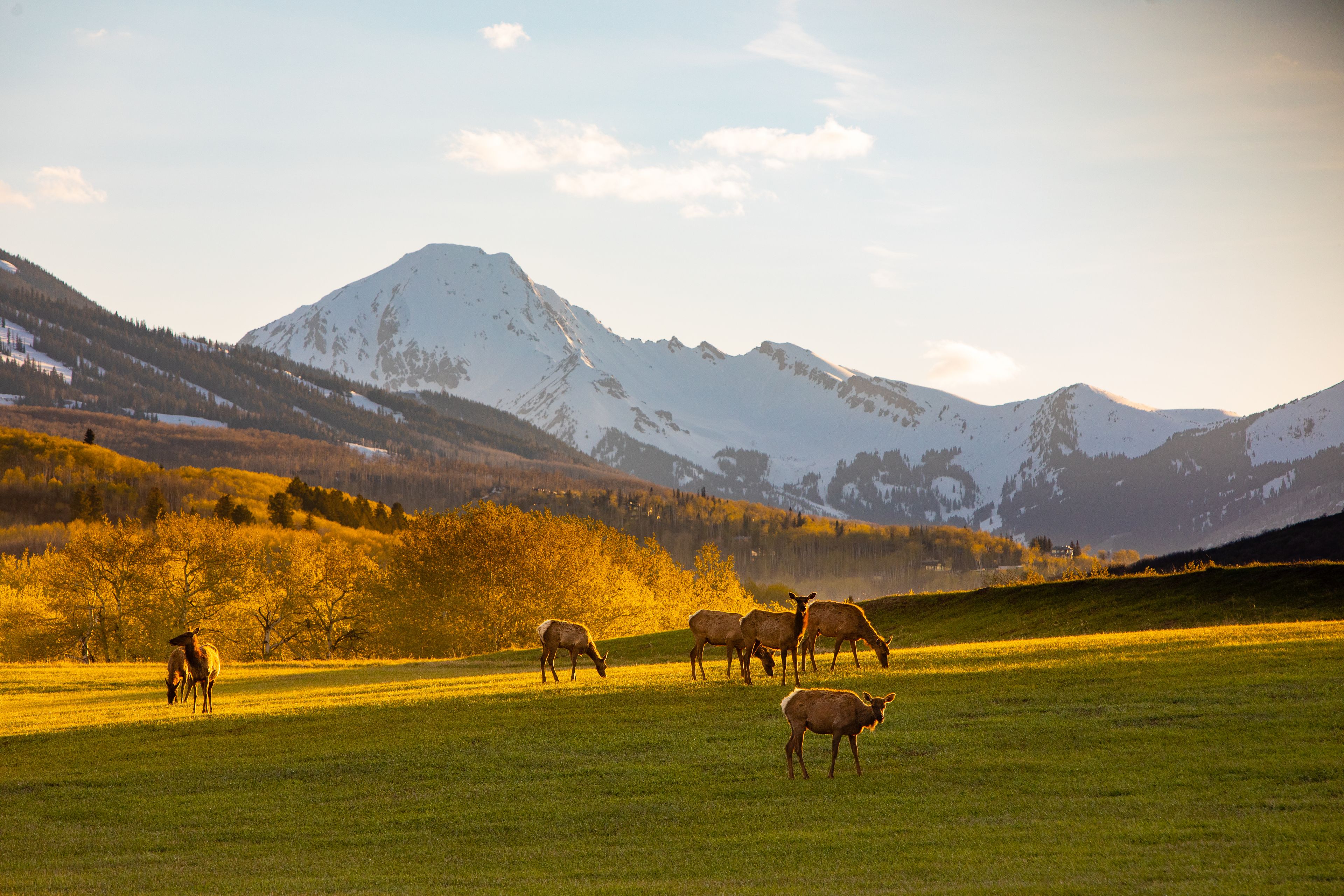 Cover photo of Snowmass Tourism