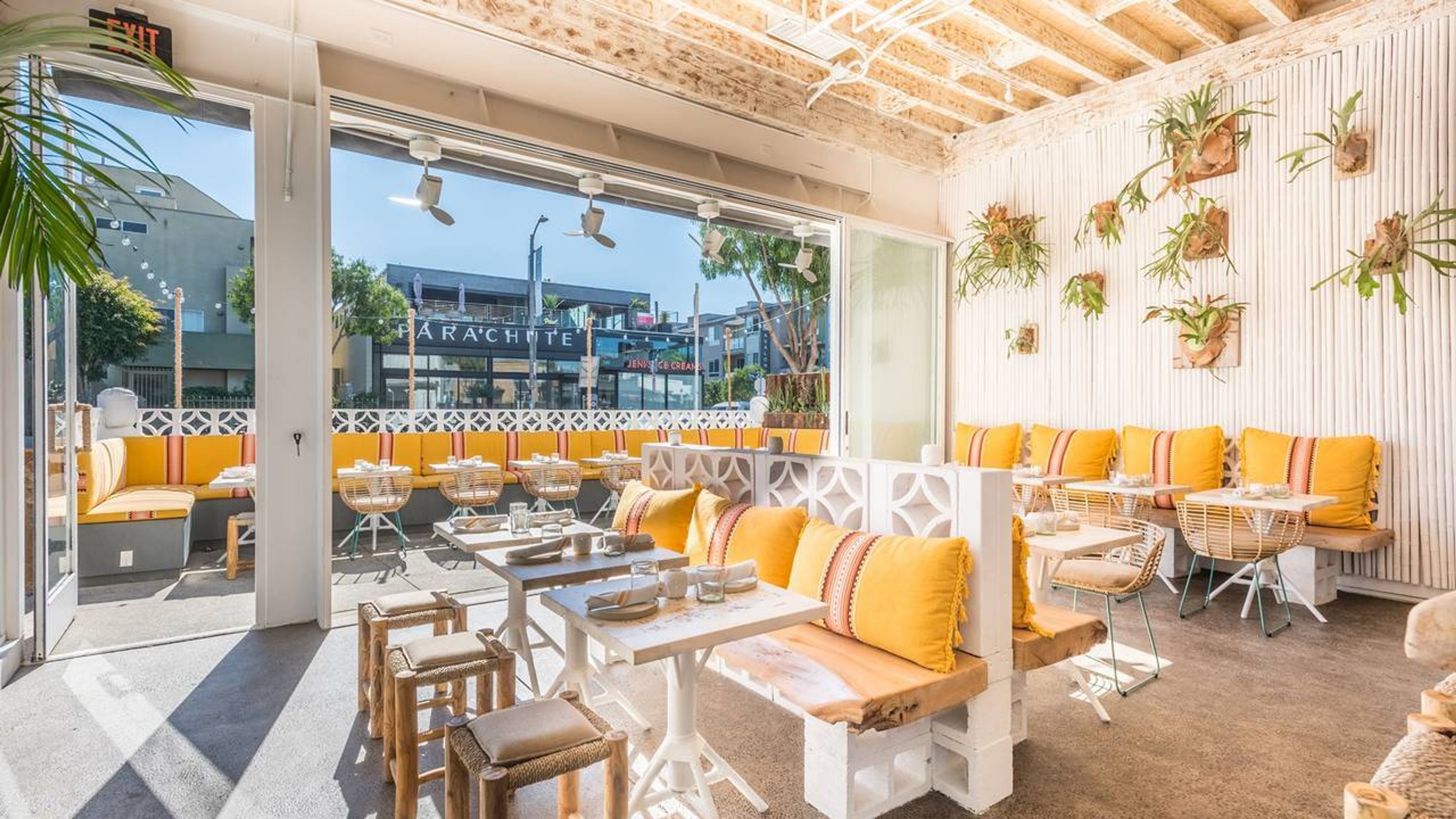 Cover photo of Chulita