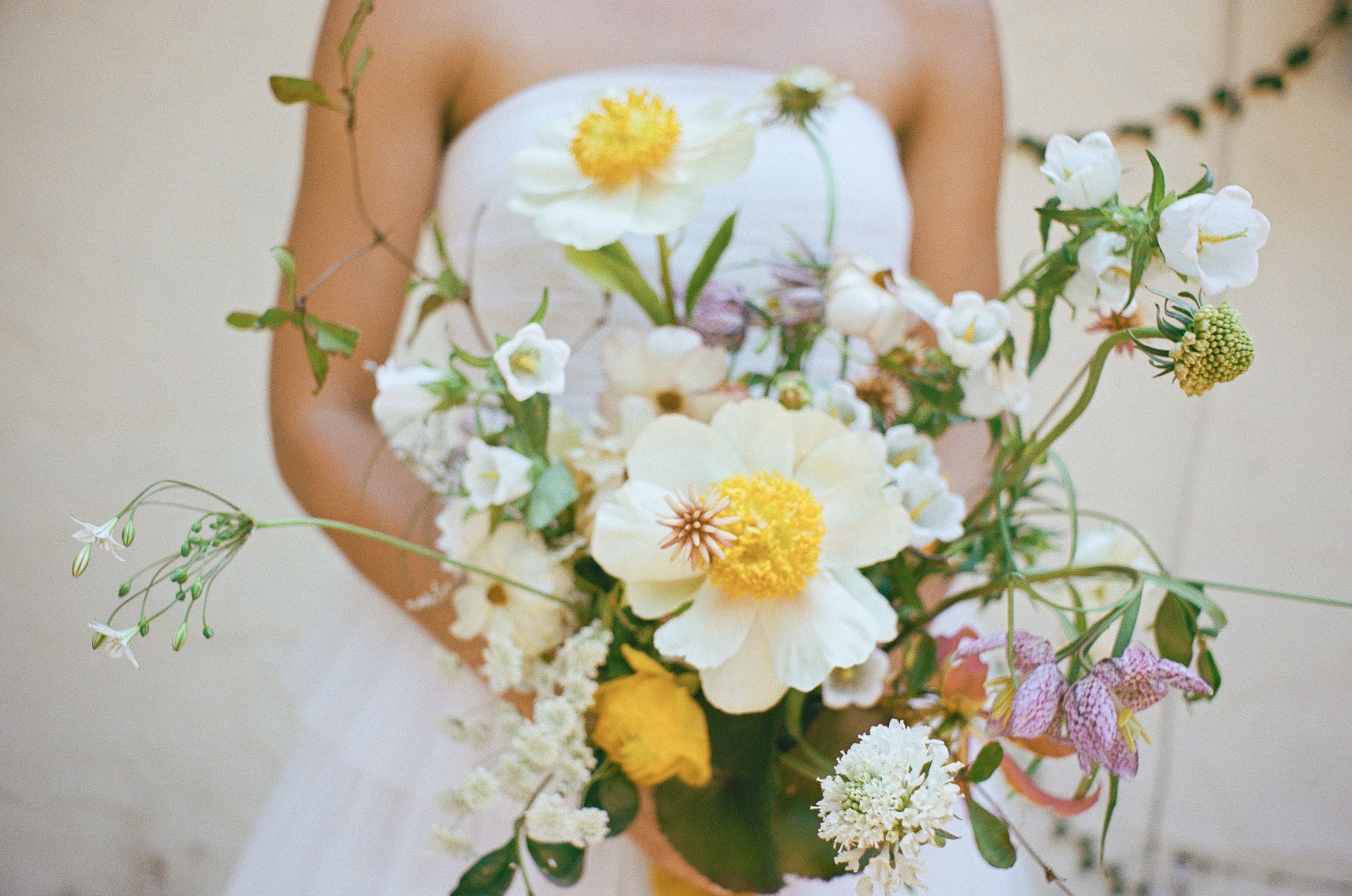 Cover photo of Laura Palacios Photography