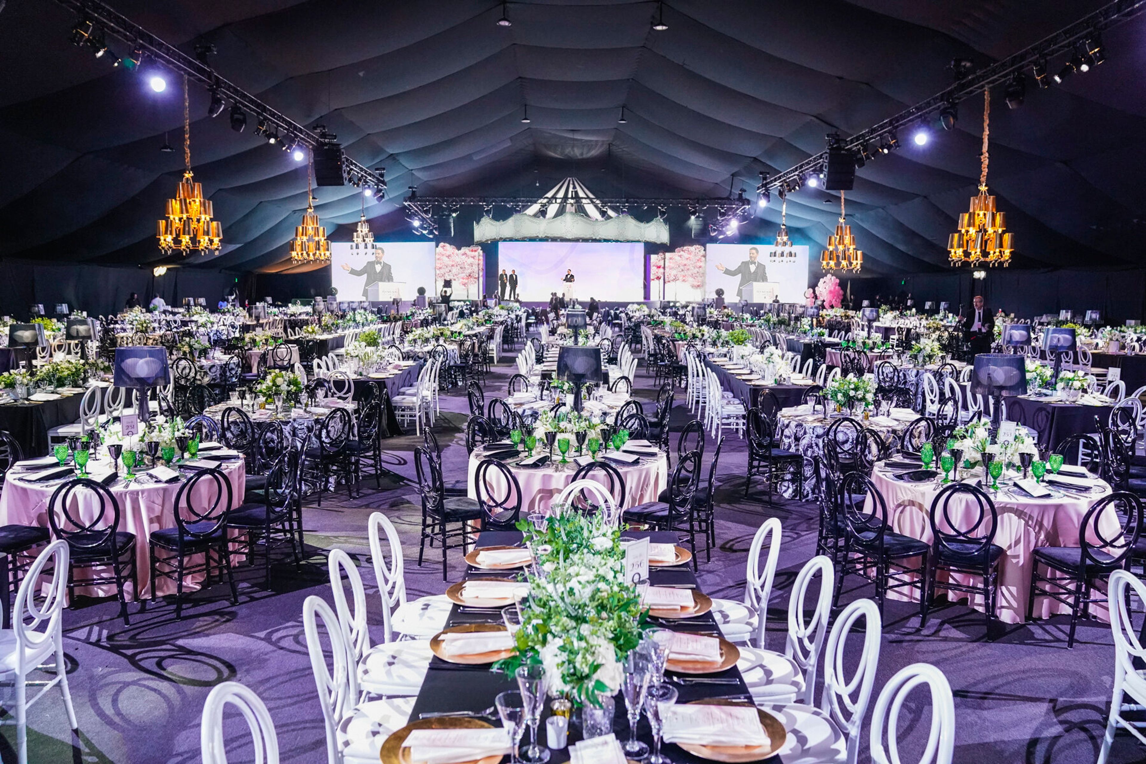 Cover photo of Hudson & Nine